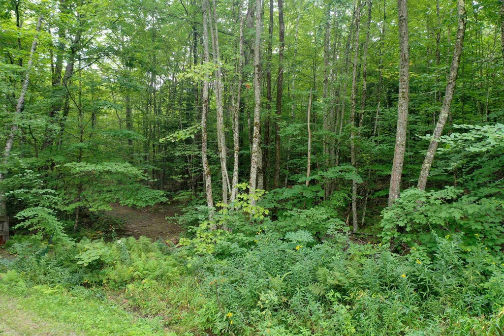 Photo of 0 Guide Board Hill Road, Webster, NH 03303 (MLS # 5107203)