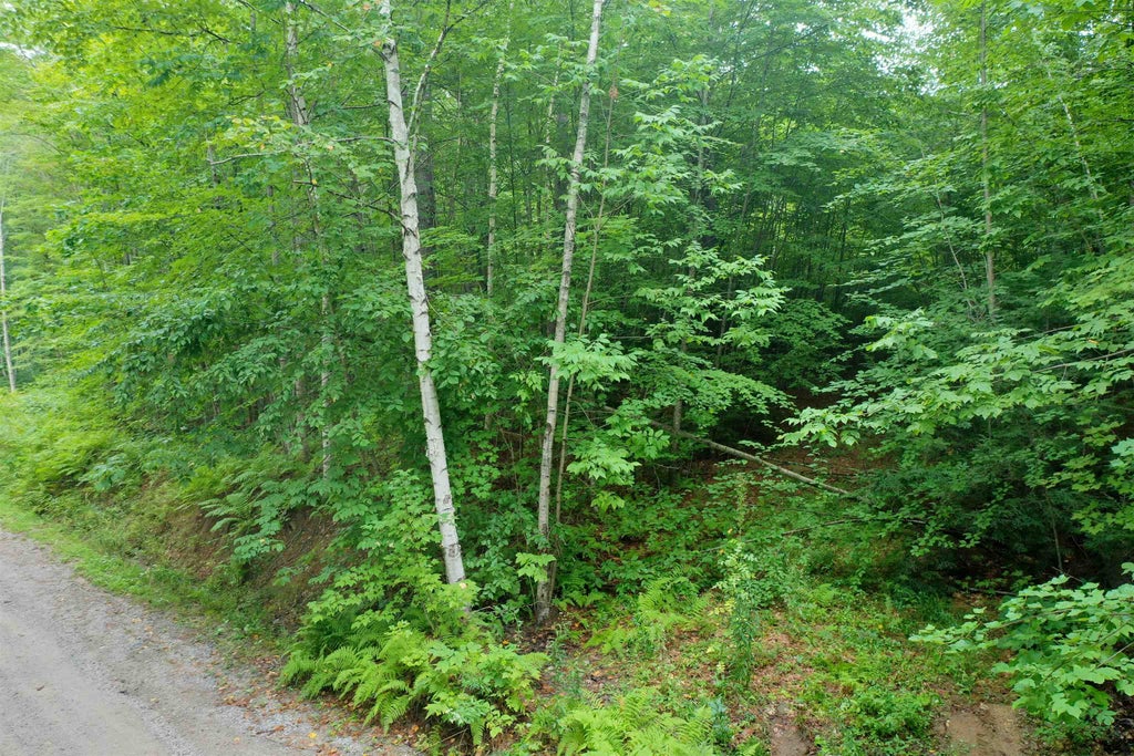 Photo of 0 Guide Board Hill Road, Webster, NH 03303 (MLS # 5107203)