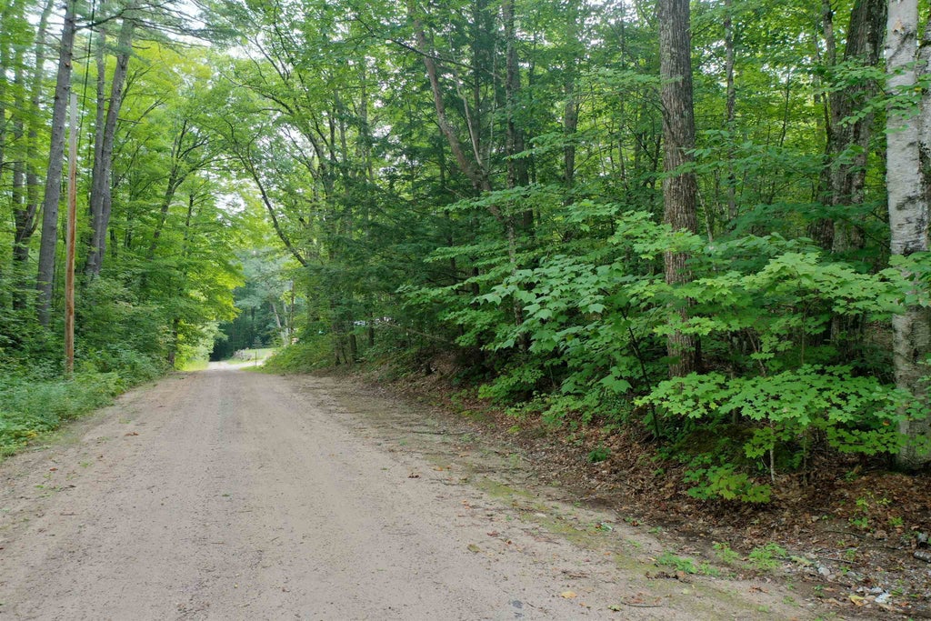 Photo of 0 Guide Board Hill Road, Webster, NH 03303 (MLS # 5107203)