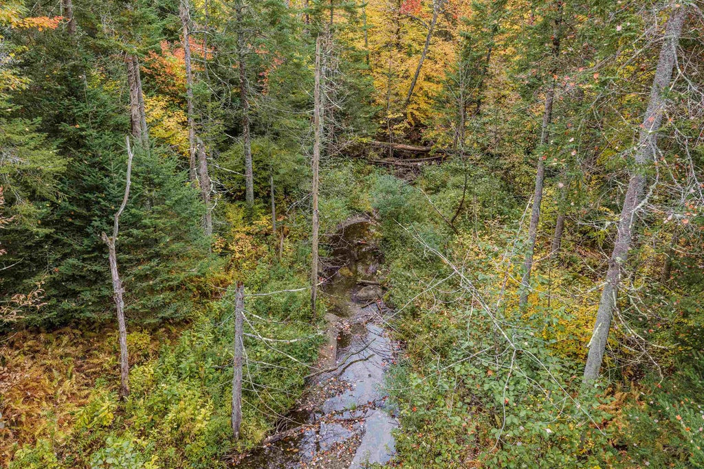 Photo of 0 Manns Hill Road #Map 17 Lot 1, Littleton, NH 03561 (MLS # 5115238)