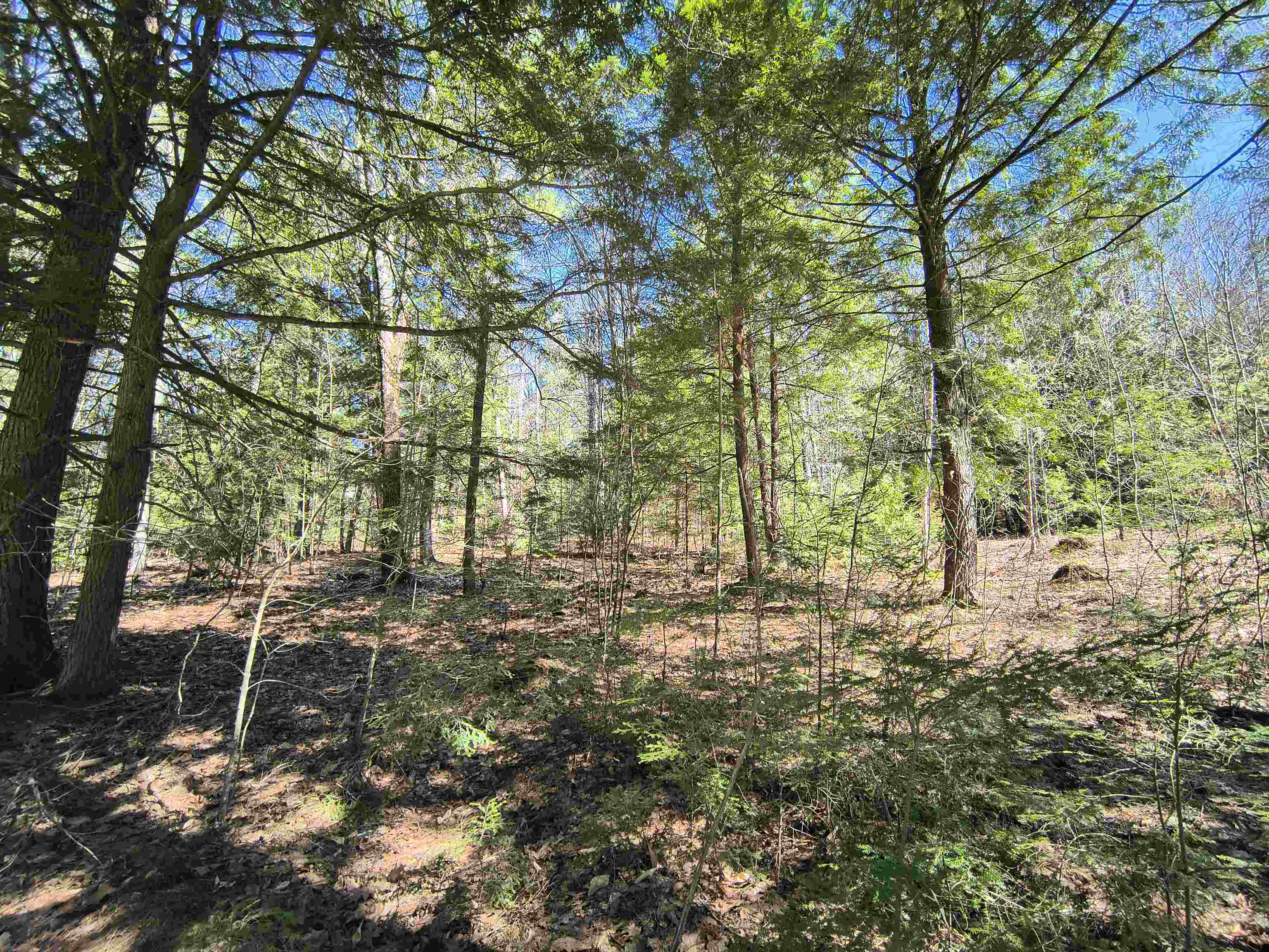 0 Littlefield Road