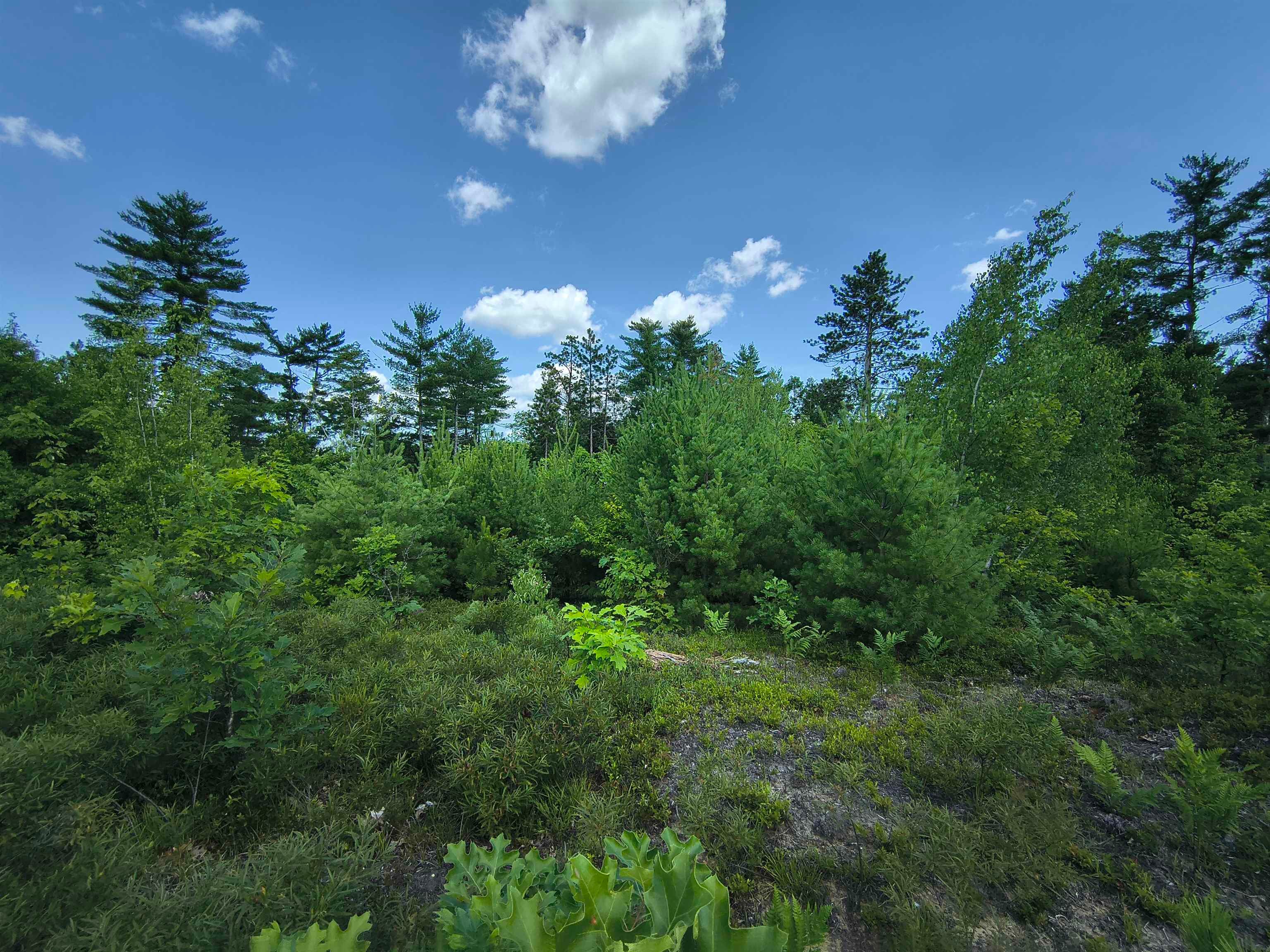 0 Hall Road Lot # 17 & 18