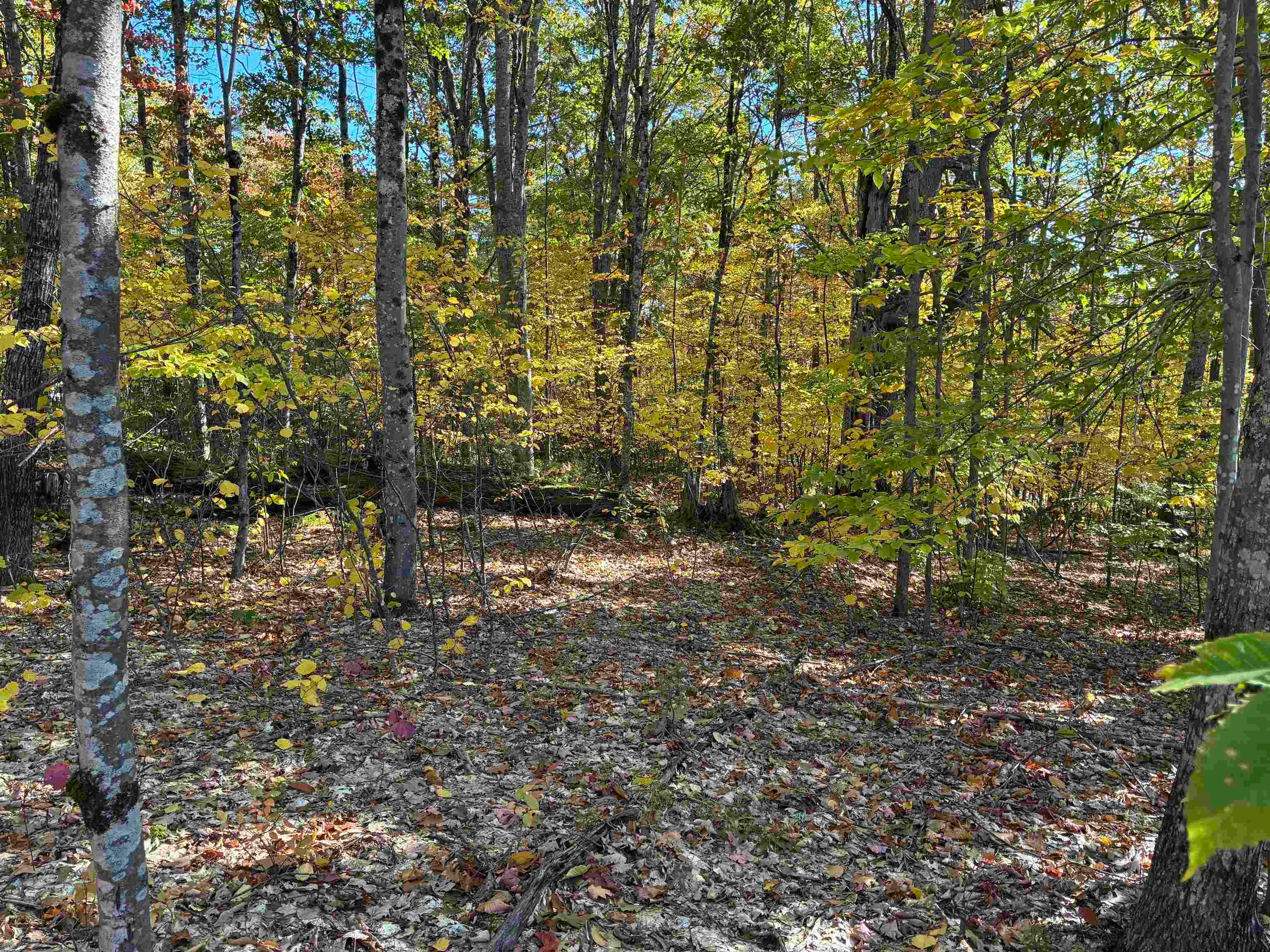 00 Redding Lane