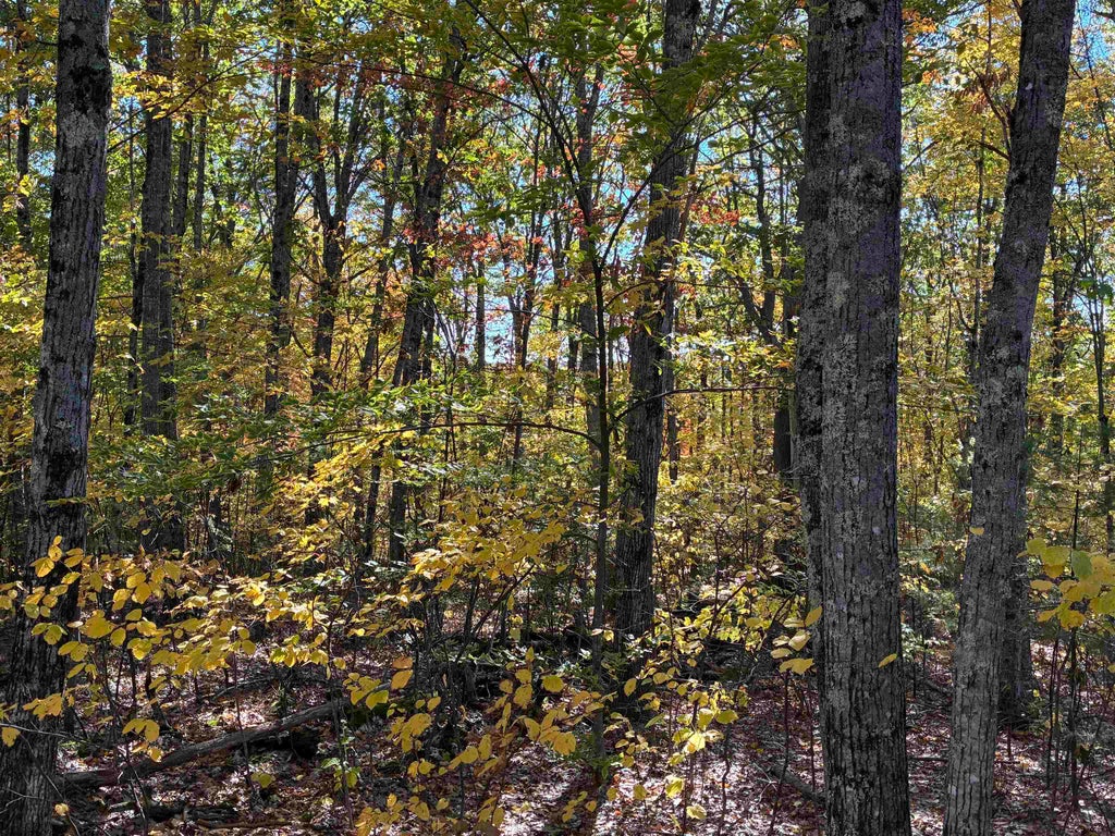 Photo of 00 Redding Lane, Moultonborough, NH 03254 (MLS # 5114744)