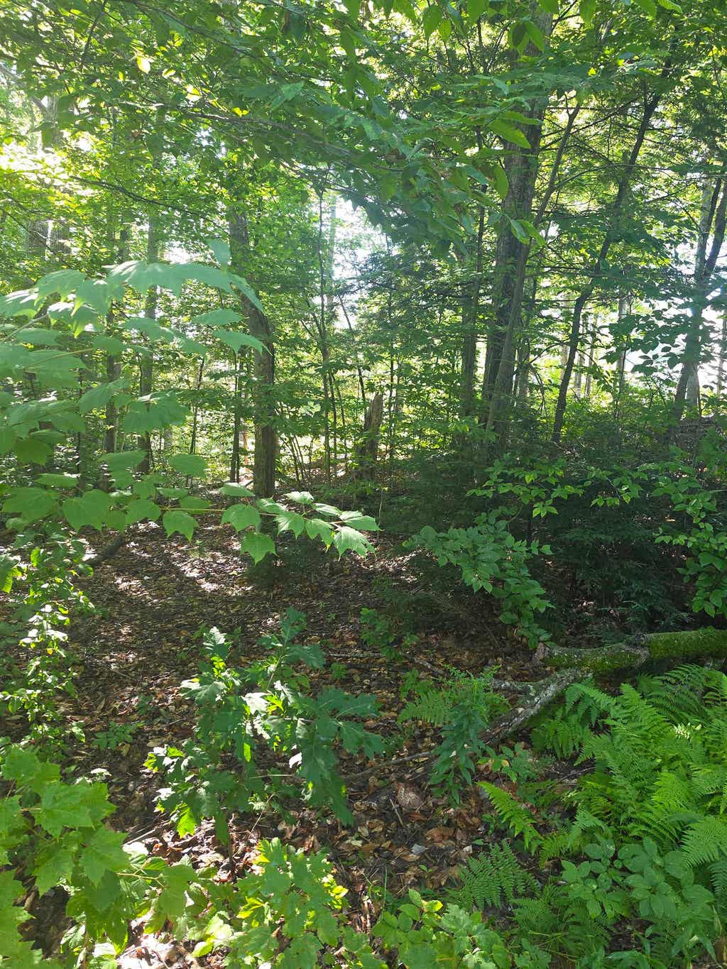 Photo of 00 Allard Farm Circuit, Conway, NH 03860 (MLS # 5106523)
