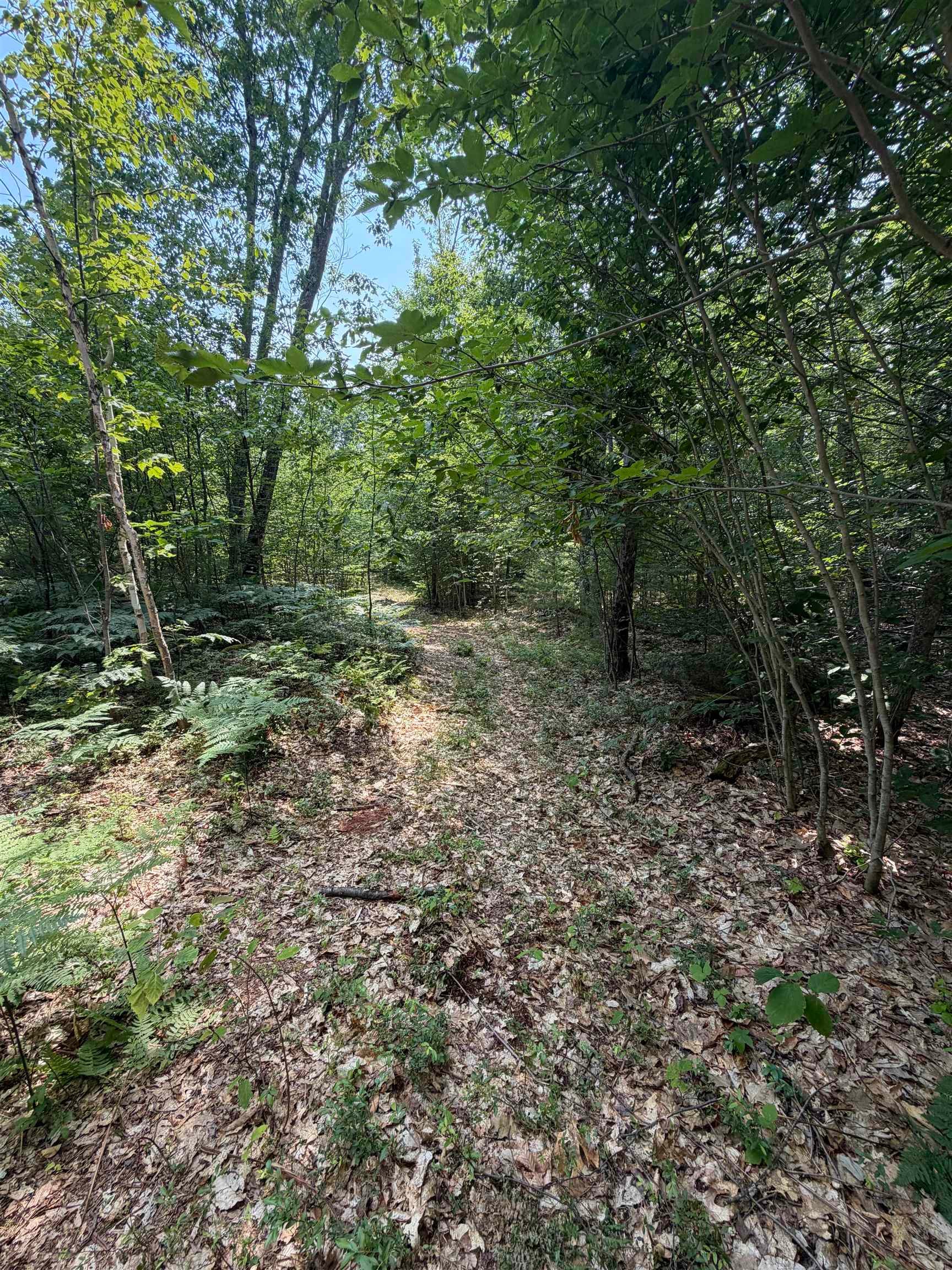 Map 206 Lot 28 Whittier Road
