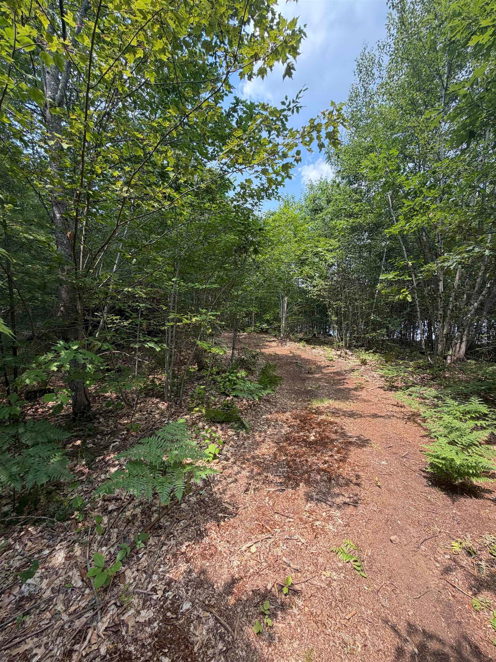 Map 206 Lot 28 Whittier Road