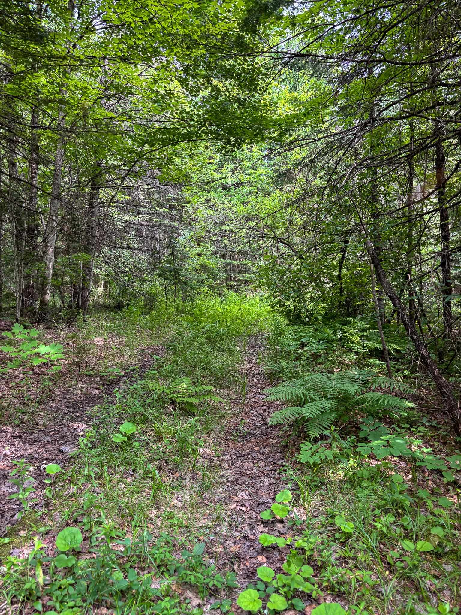 0000 Center Pond Road