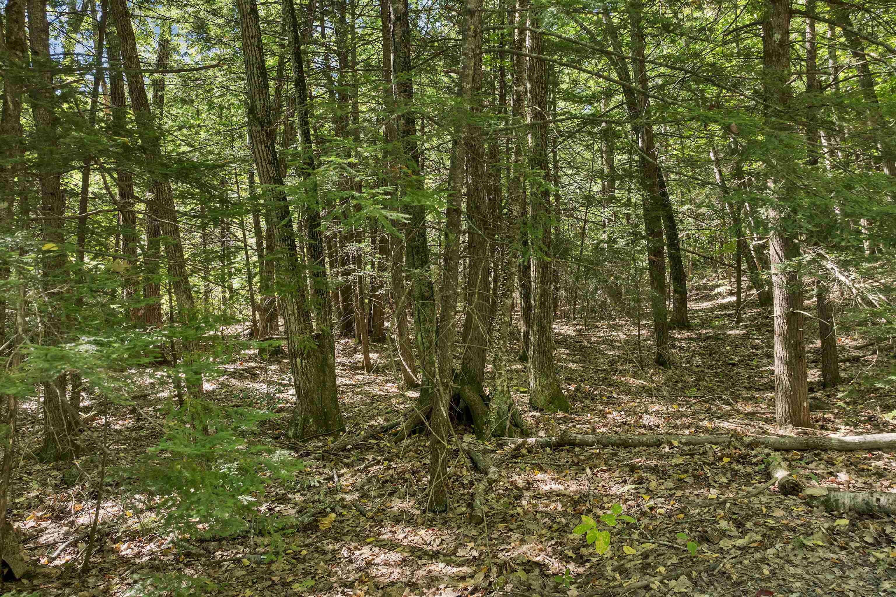 Lot 5-2-1 Jesus Valley Road