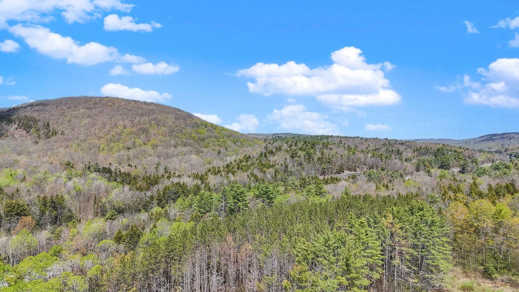 Photo of 991 Route 10 N, Grantham, NH 03753 (MLS # 5102656)