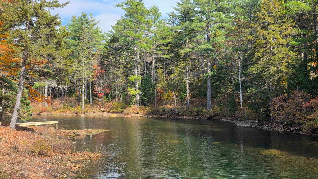 Photo of 1183 Faxon Hill Road, Washington, NH 03280 (MLS # 5114160)