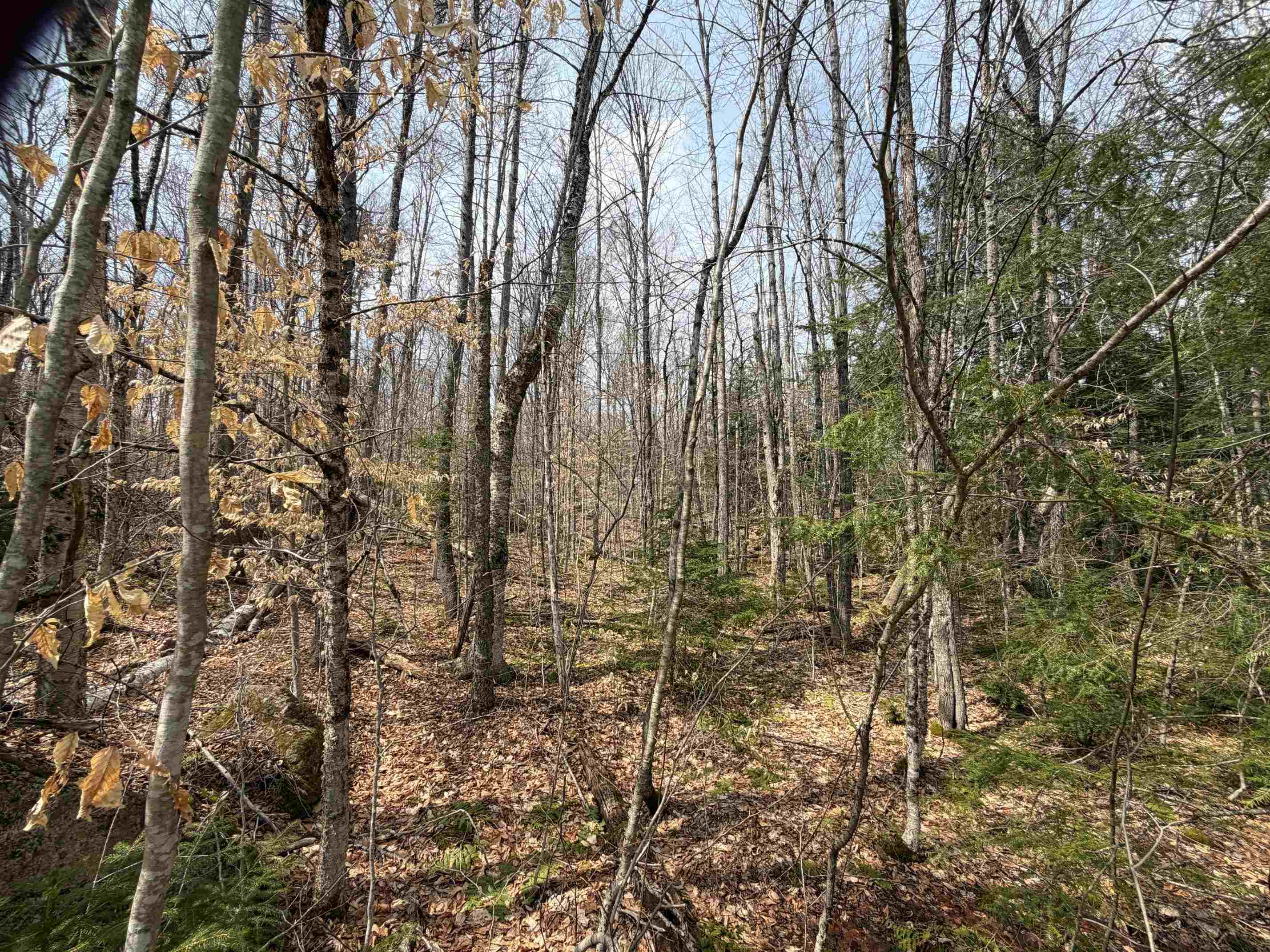 00 Hickory Overlook