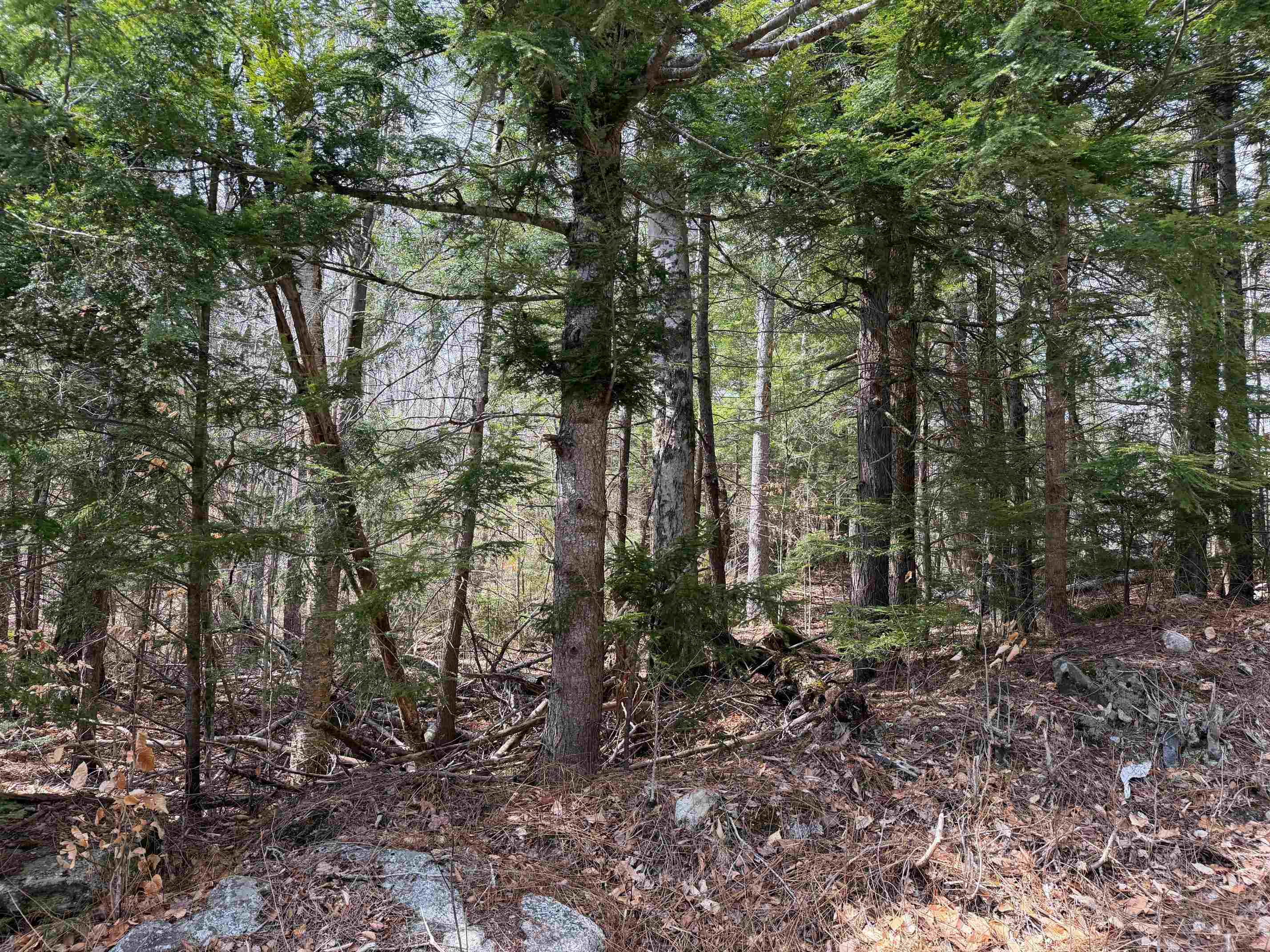00 Hickory Overlook