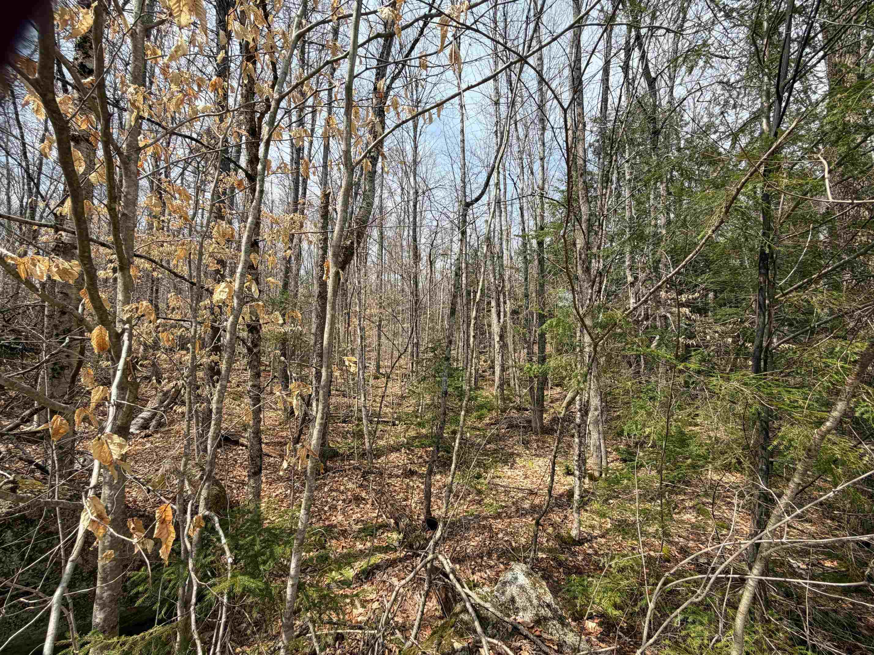 00 Hickory Overlook
