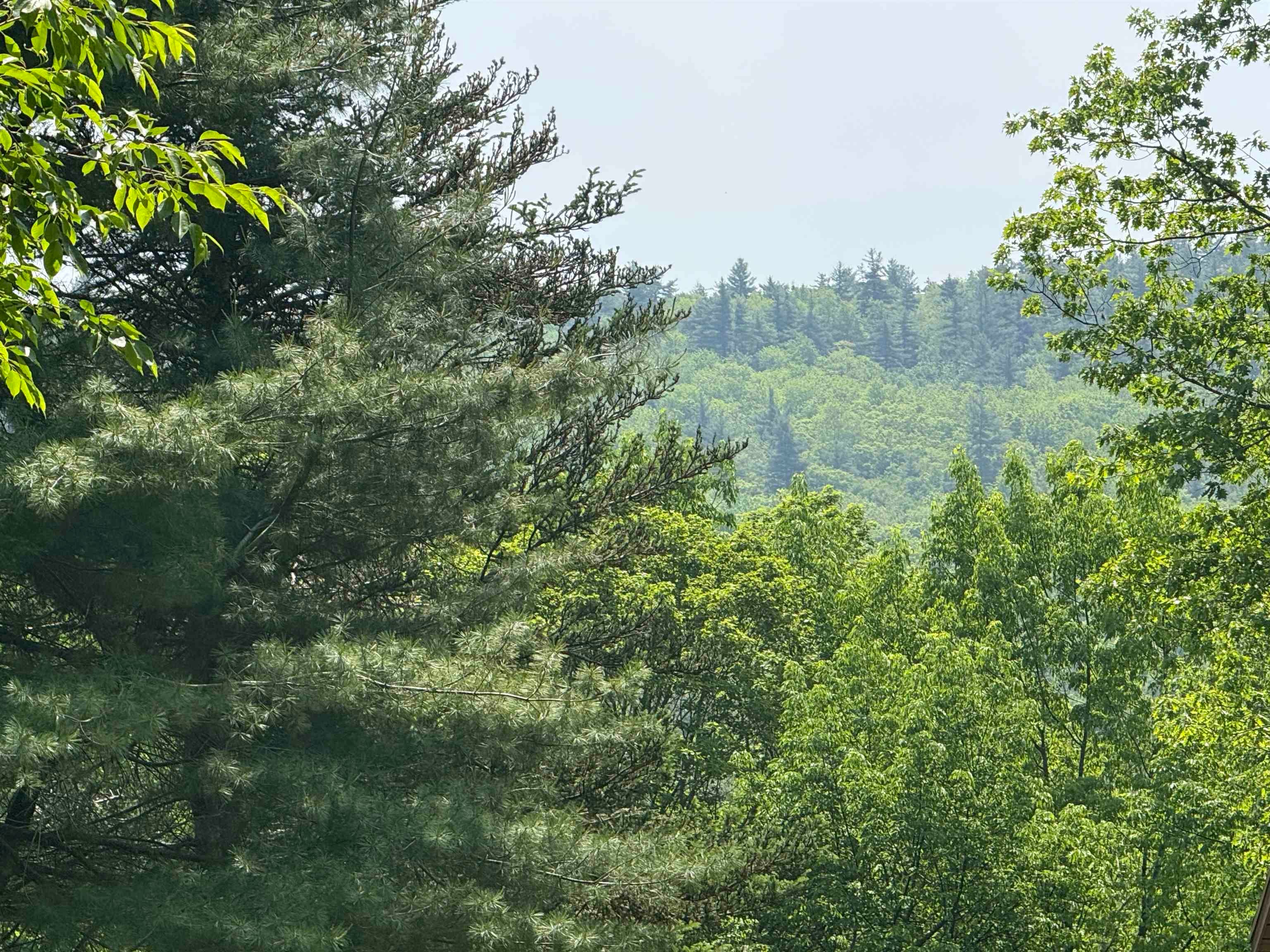 251 Phillips Hill Road