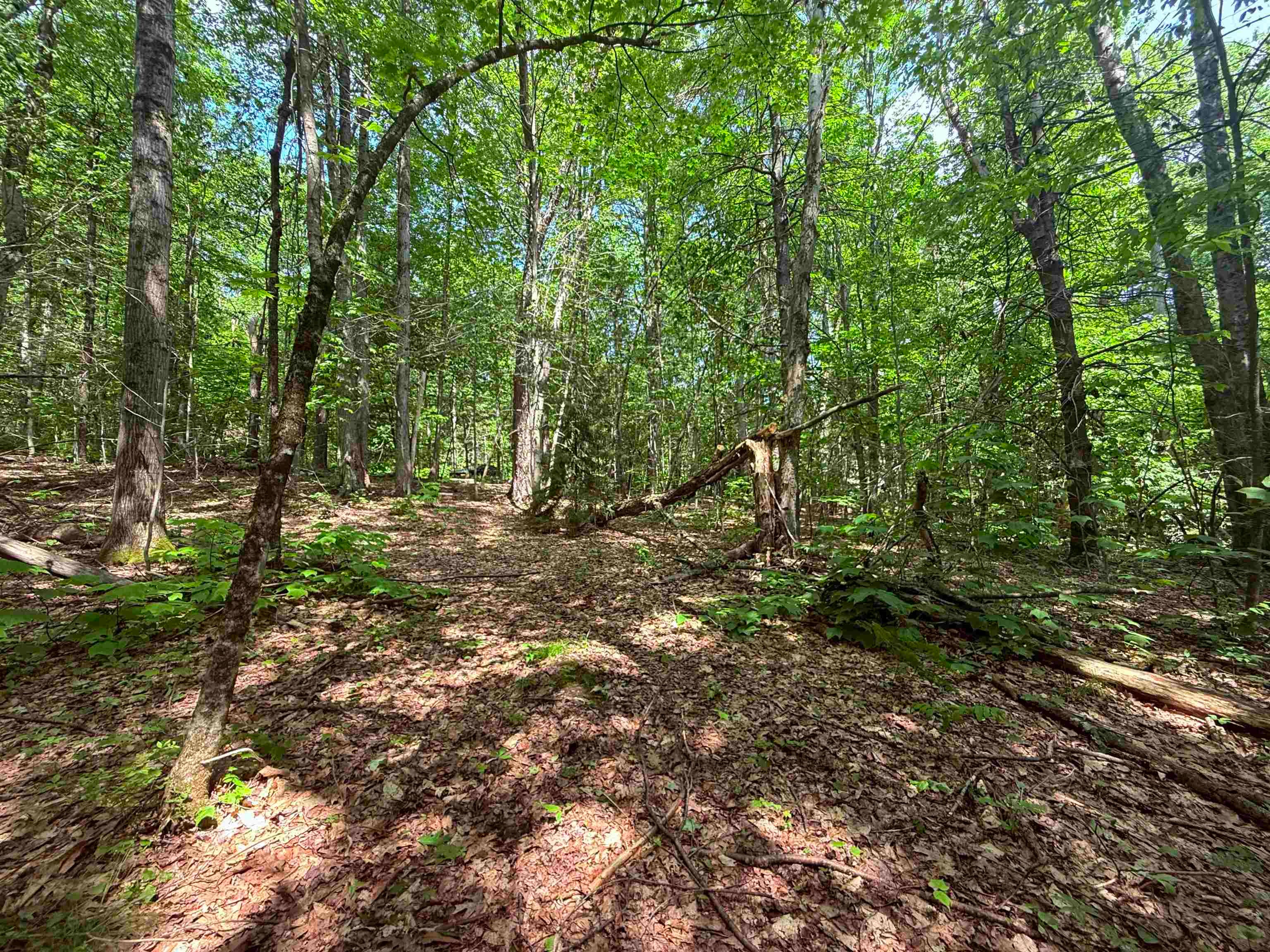 251 Phillips Hill Road