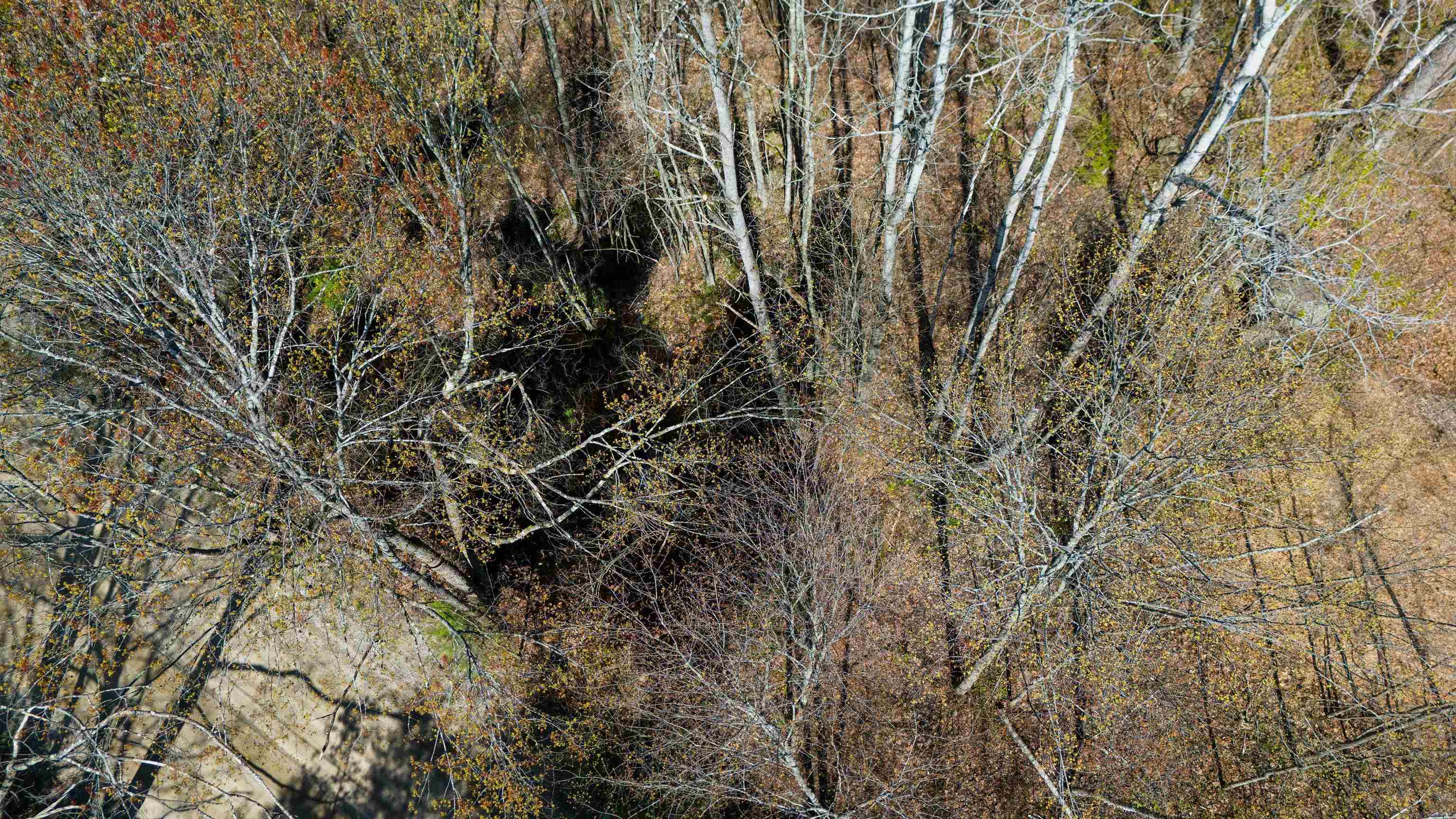 Moccasin Trail 616