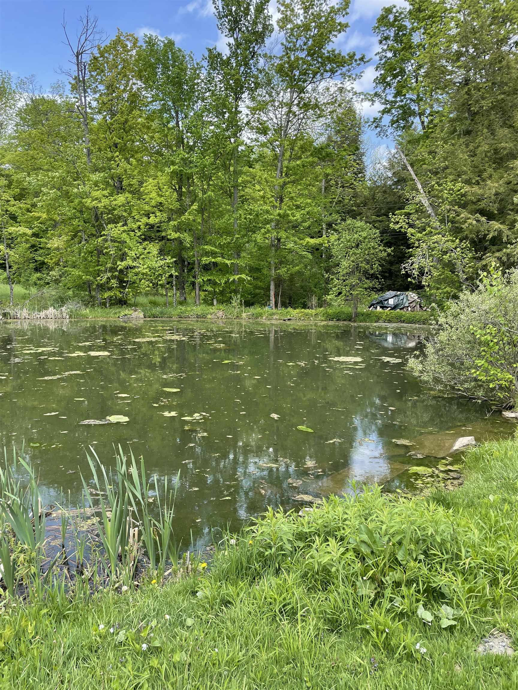 234 Randall Road - Photo 3