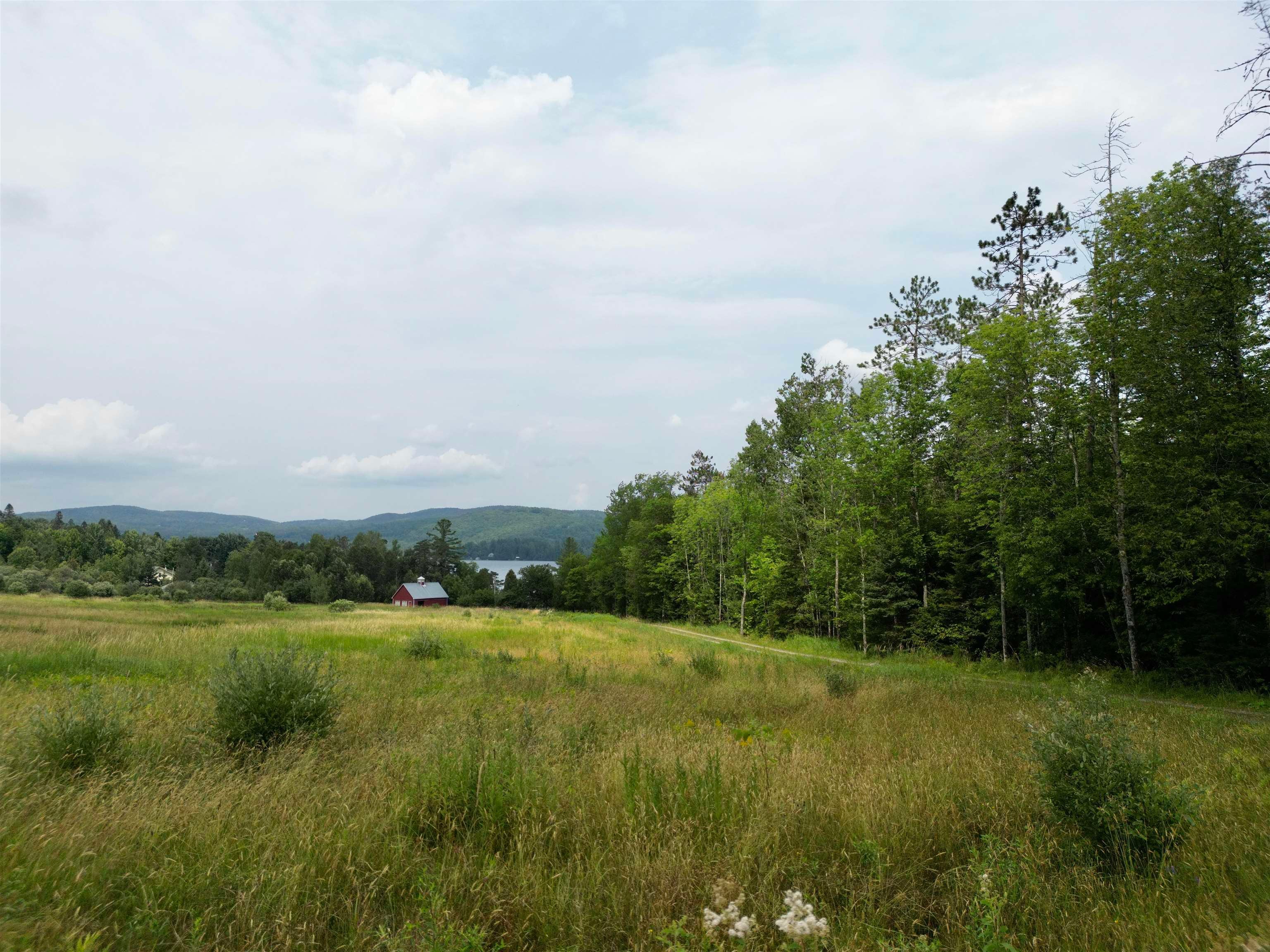 699 Lake Shore Road