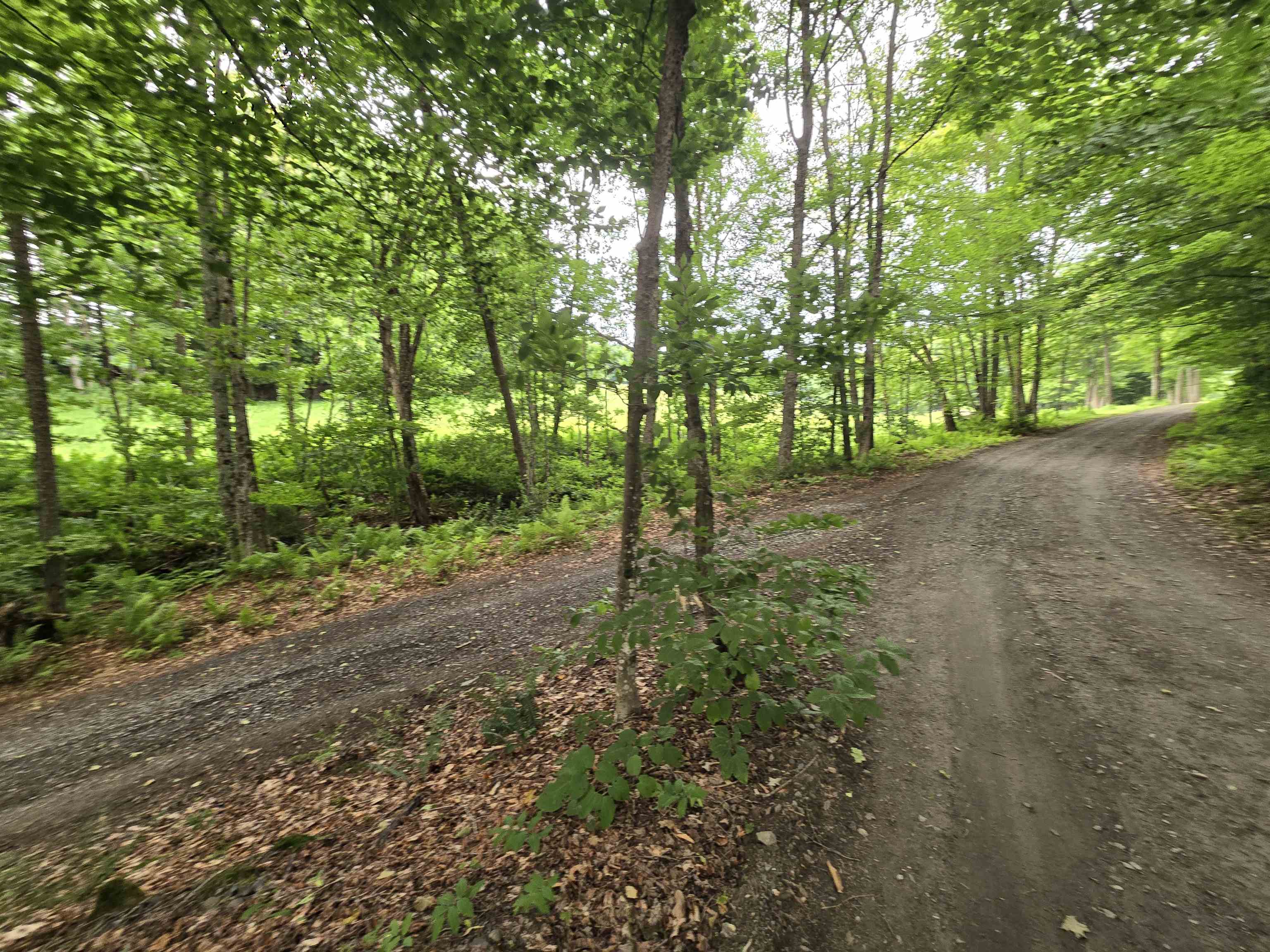 237 Upper Maloney Road