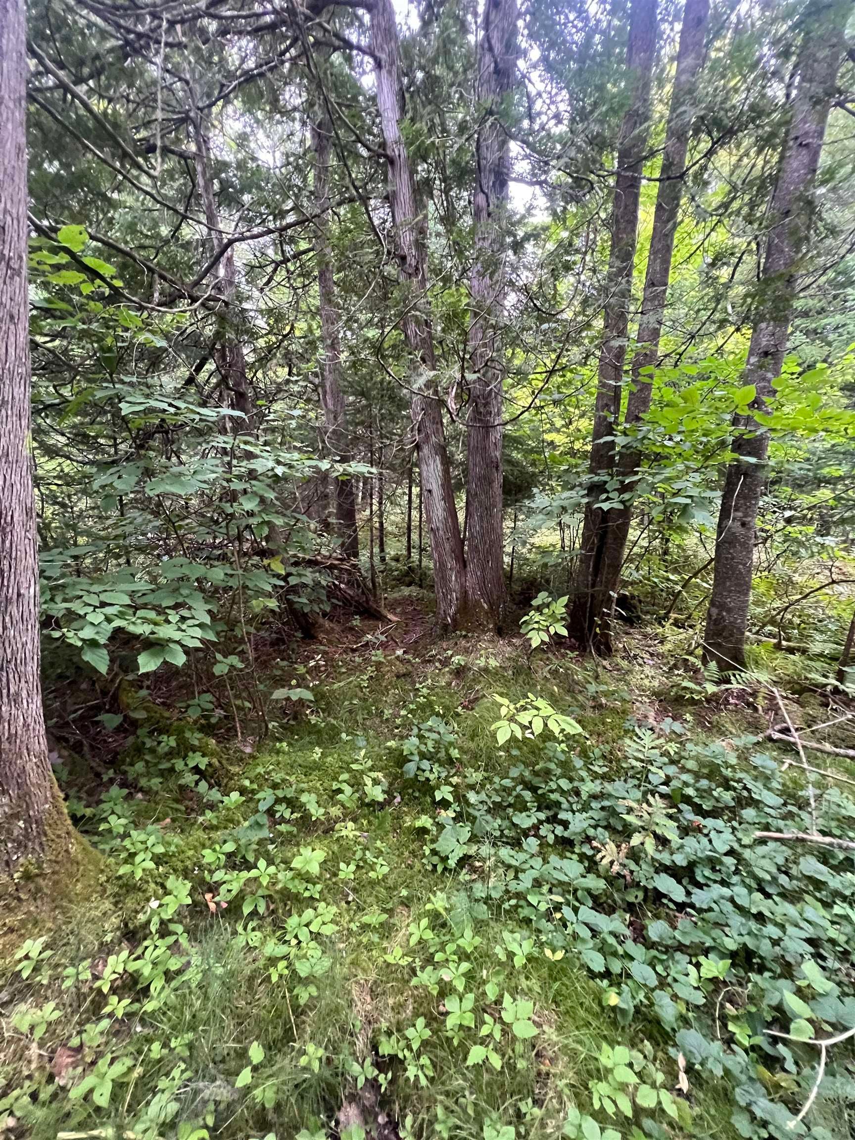 0 Red Schoolhouse Road