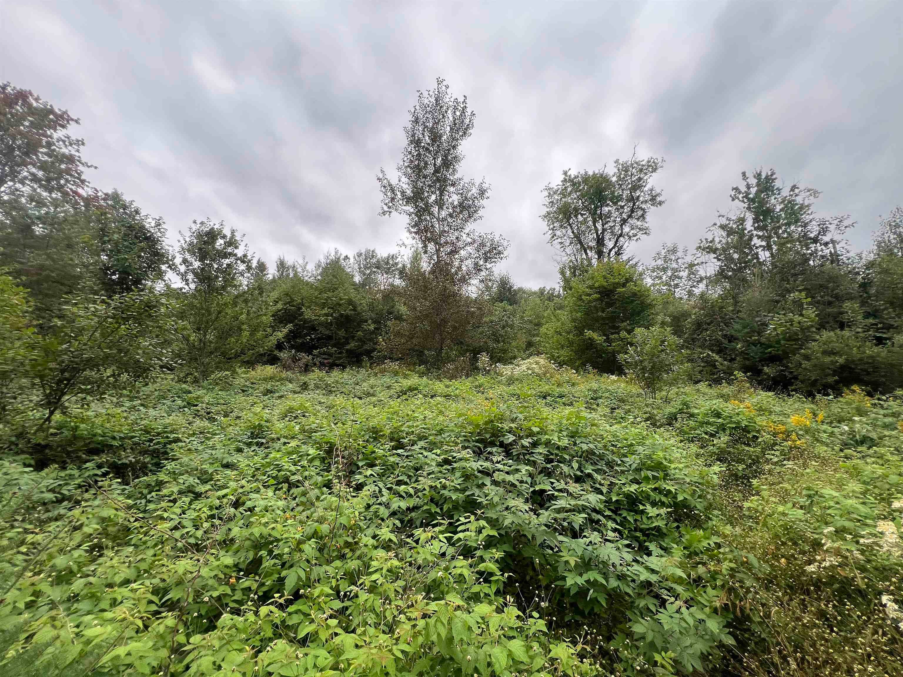 0 Red Schoolhouse Road