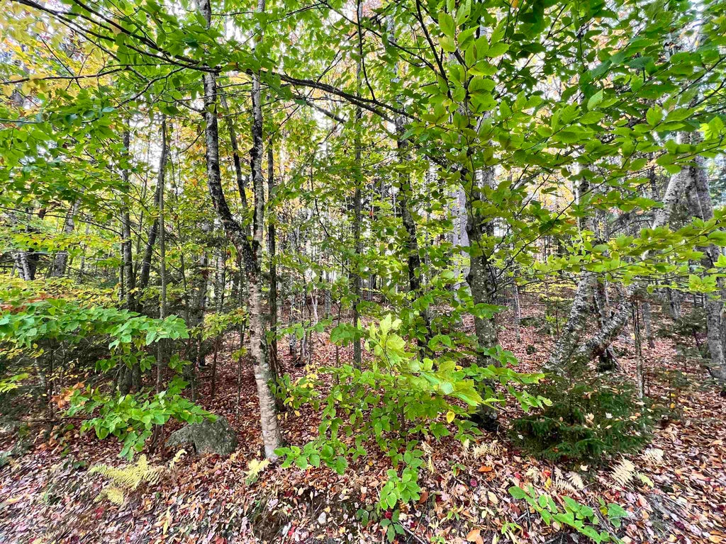 Photo of 400 Road Round The Lake Lk, Grantham, NH 03753 (MLS # 5092170)