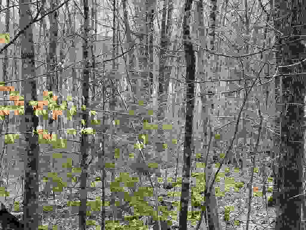 Photo of 400 Road Round The Lake Lk, Grantham, NH 03753 (MLS # 5092170)