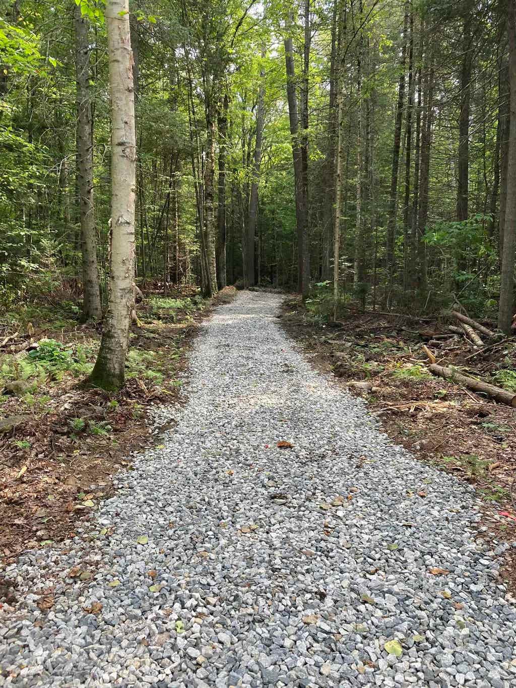 Photo of 905 NH Route 118, Groton, NH 03266 (MLS # 5105028)
