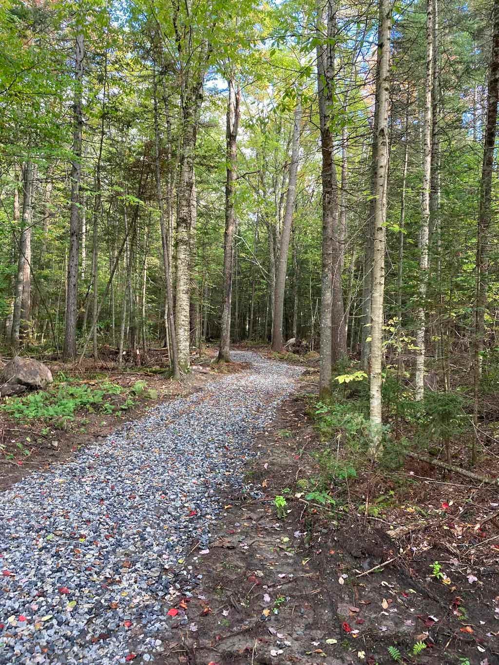 Photo of 905 NH Route 118, Groton, NH 03266 (MLS # 5105028)