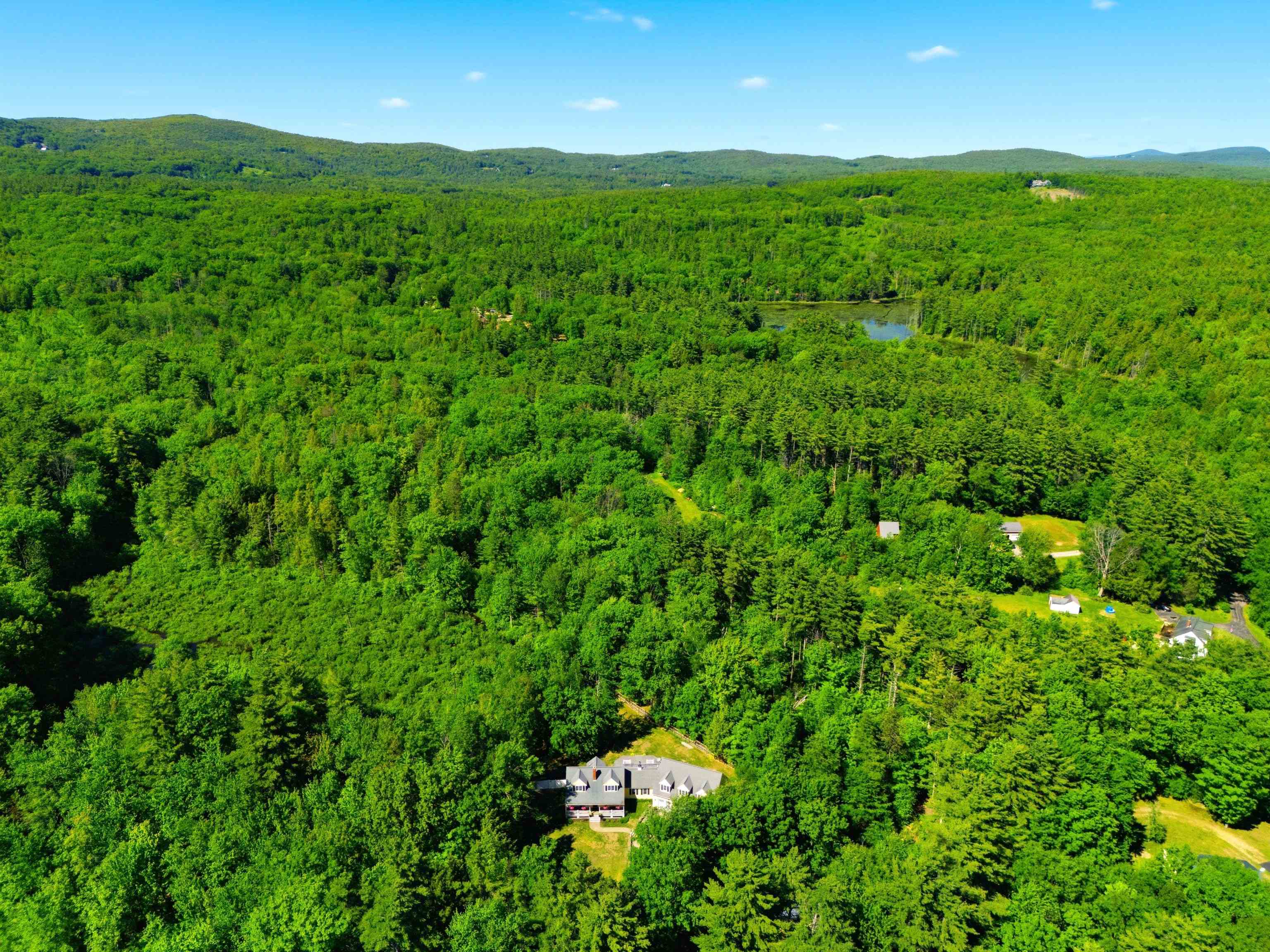 302 Forest Road