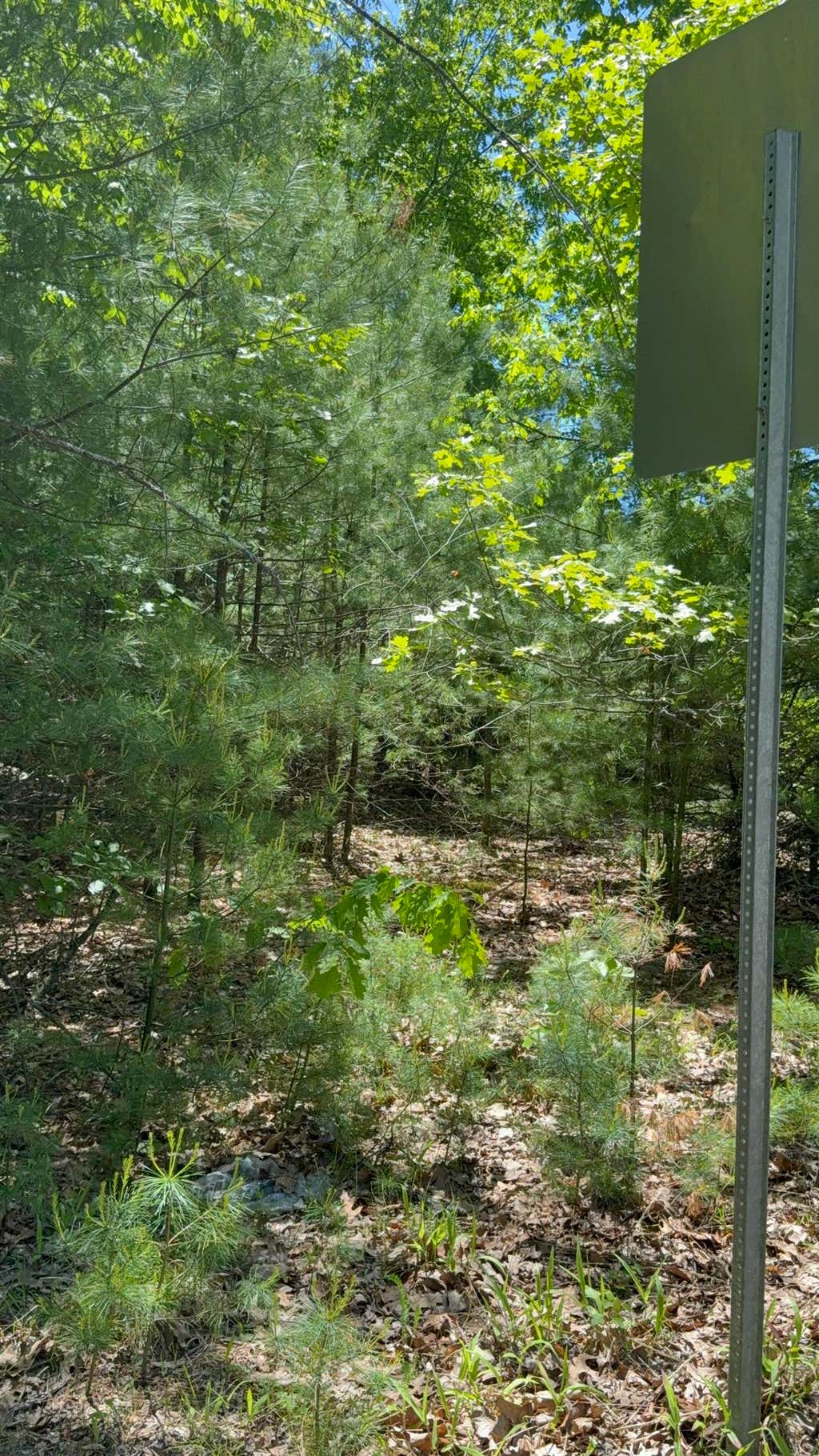 Photo of 333435 Washington Street, Barrington, NH 03825 (MLS # 5095567)