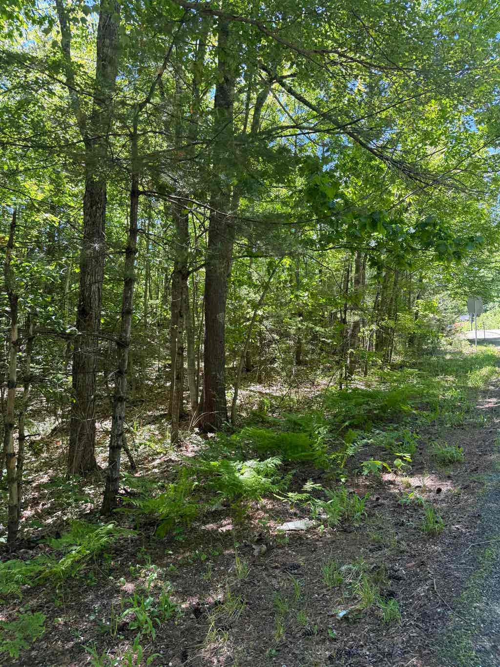 Photo of 333435 Washington Street, Barrington, NH 03825 (MLS # 5095567)