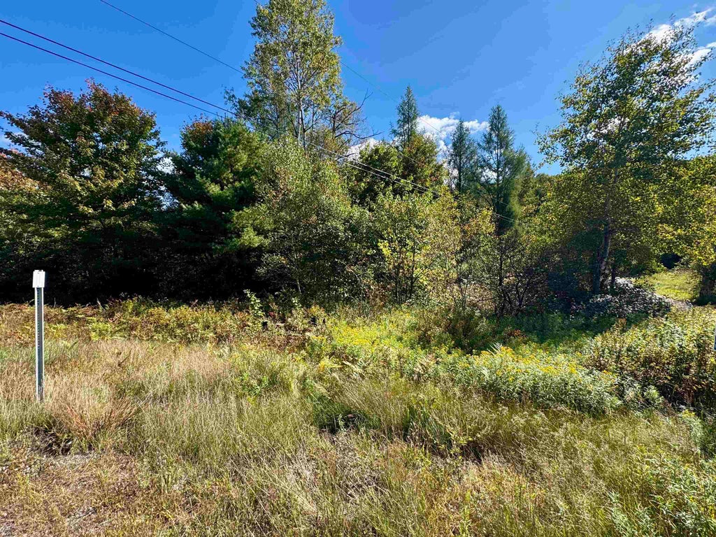 Photo of TBD US Route 3, Columbia, NH 03576 (MLS # 5111415)