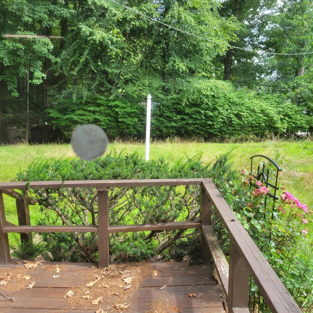 Photo of 14 Susan Street, Danville, NH 03819 (MLS # 5108487)