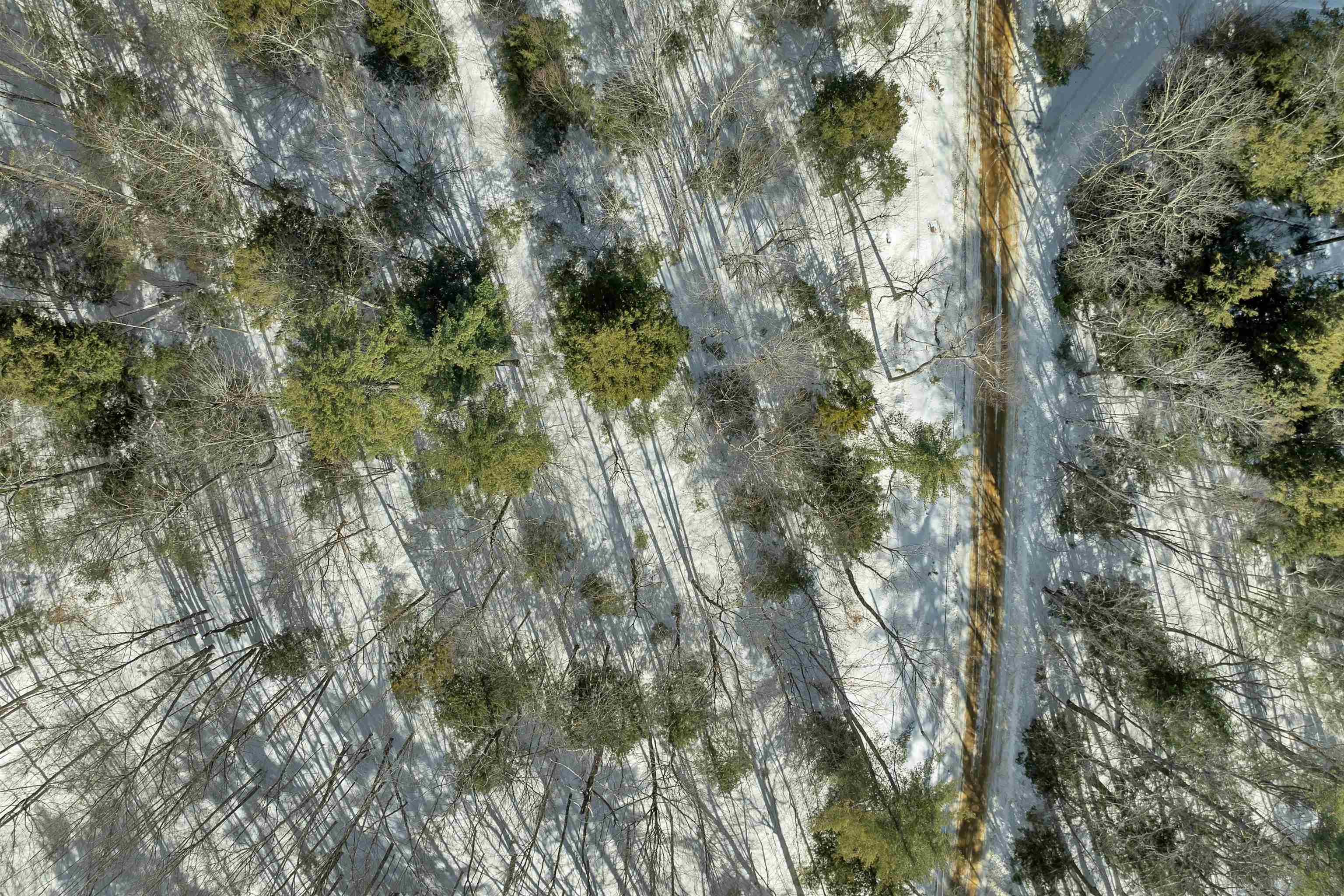 13-1 Page Road