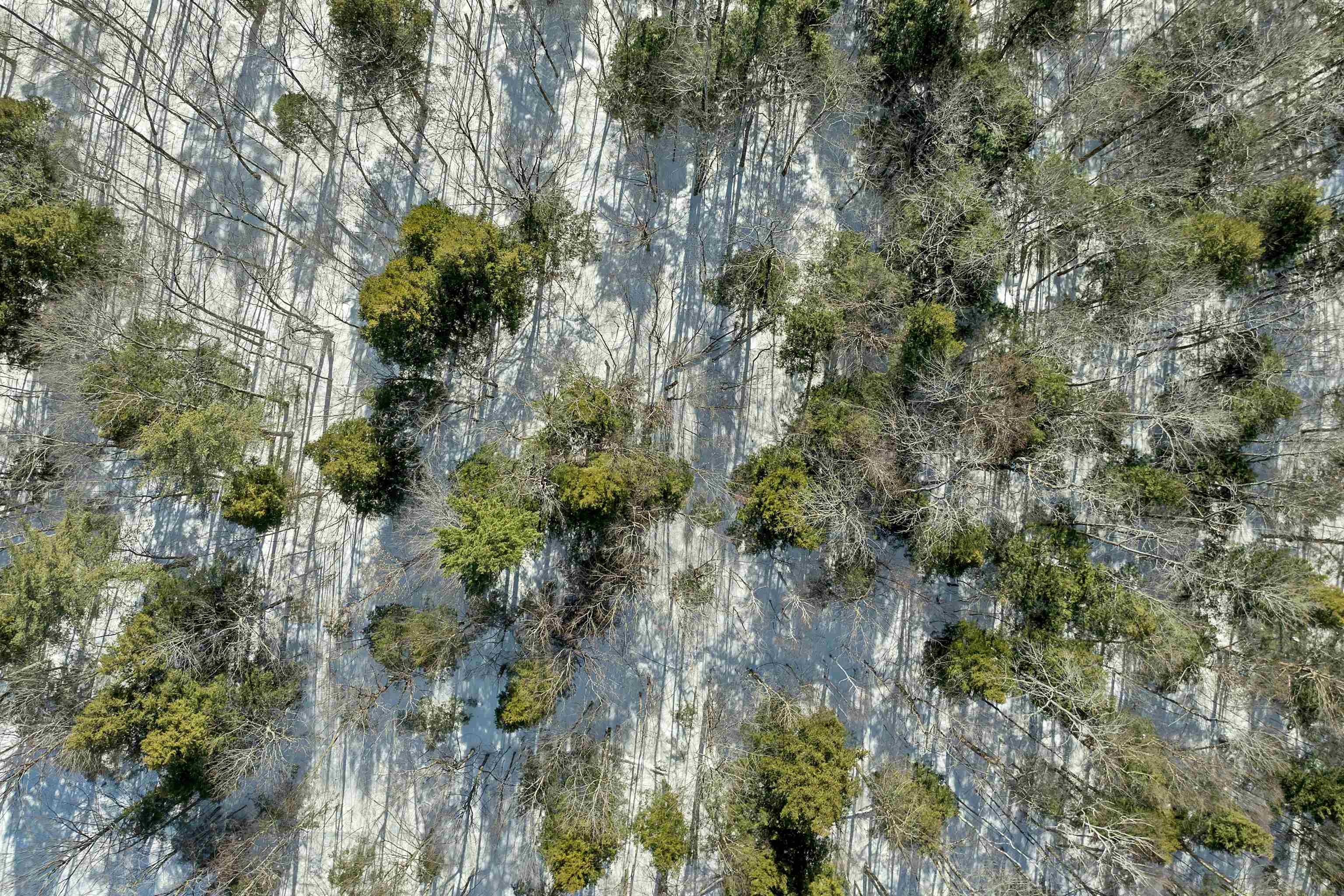 13-1 Page Road