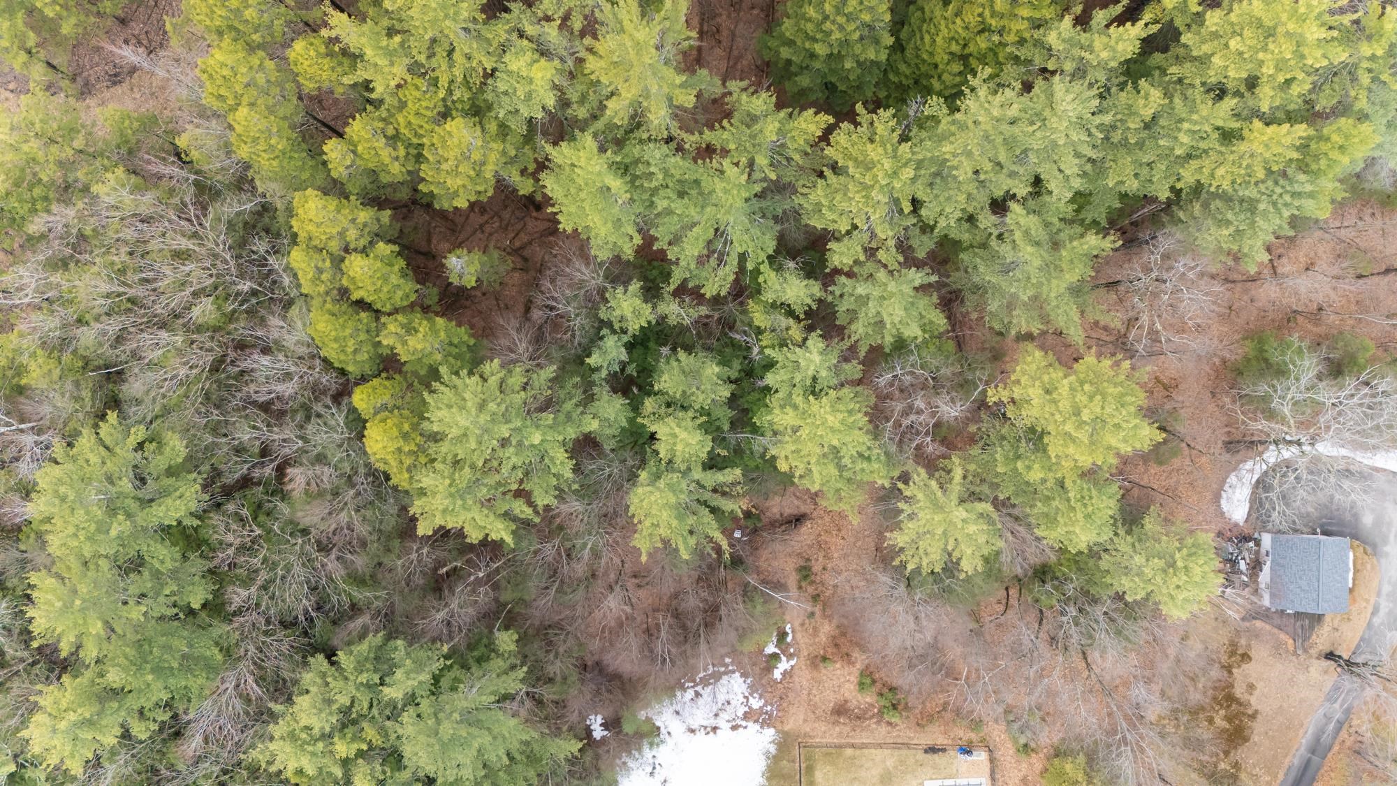 Lot 053 Holt Road