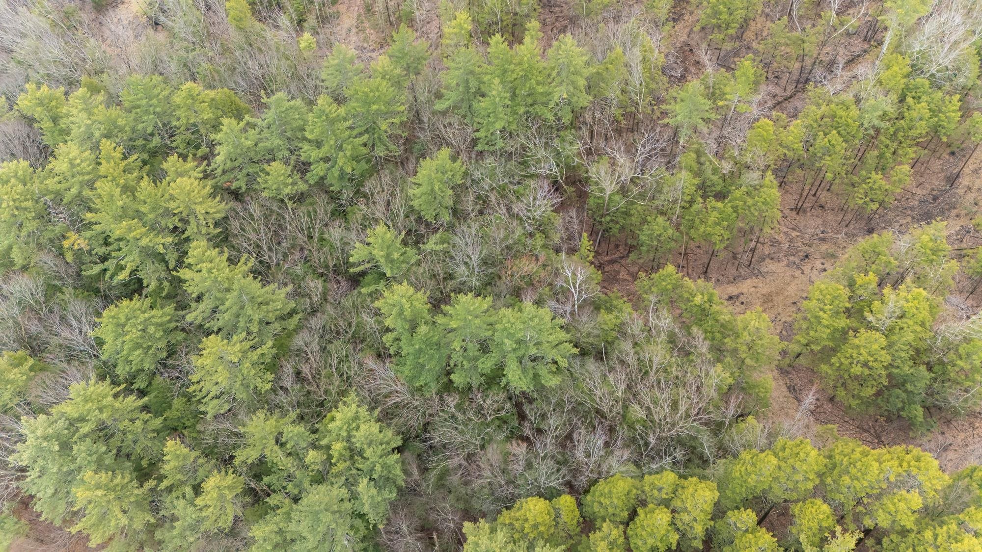 Lot 053 Holt Road