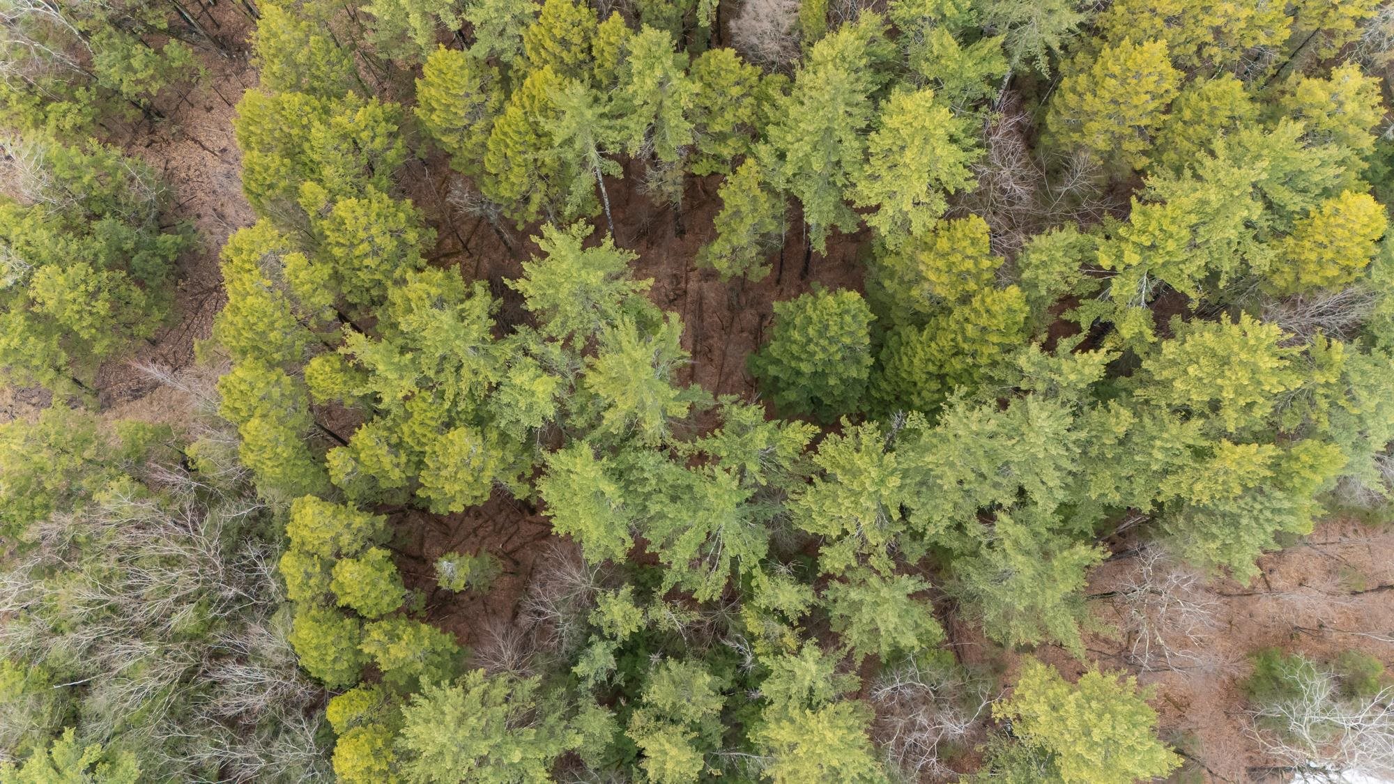 Lot 053 Holt Road