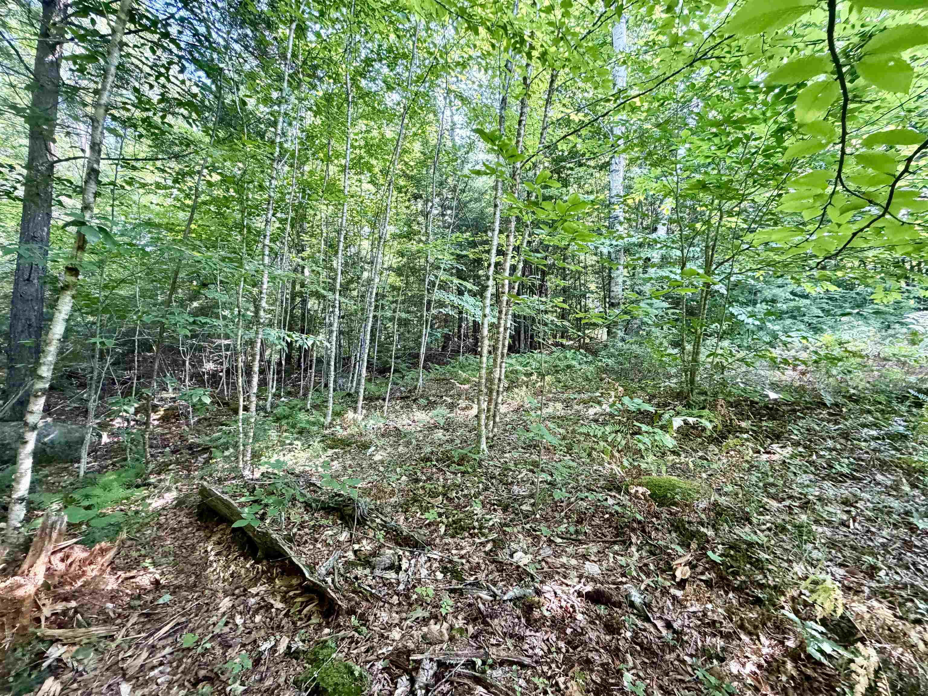 Lee Brook Road