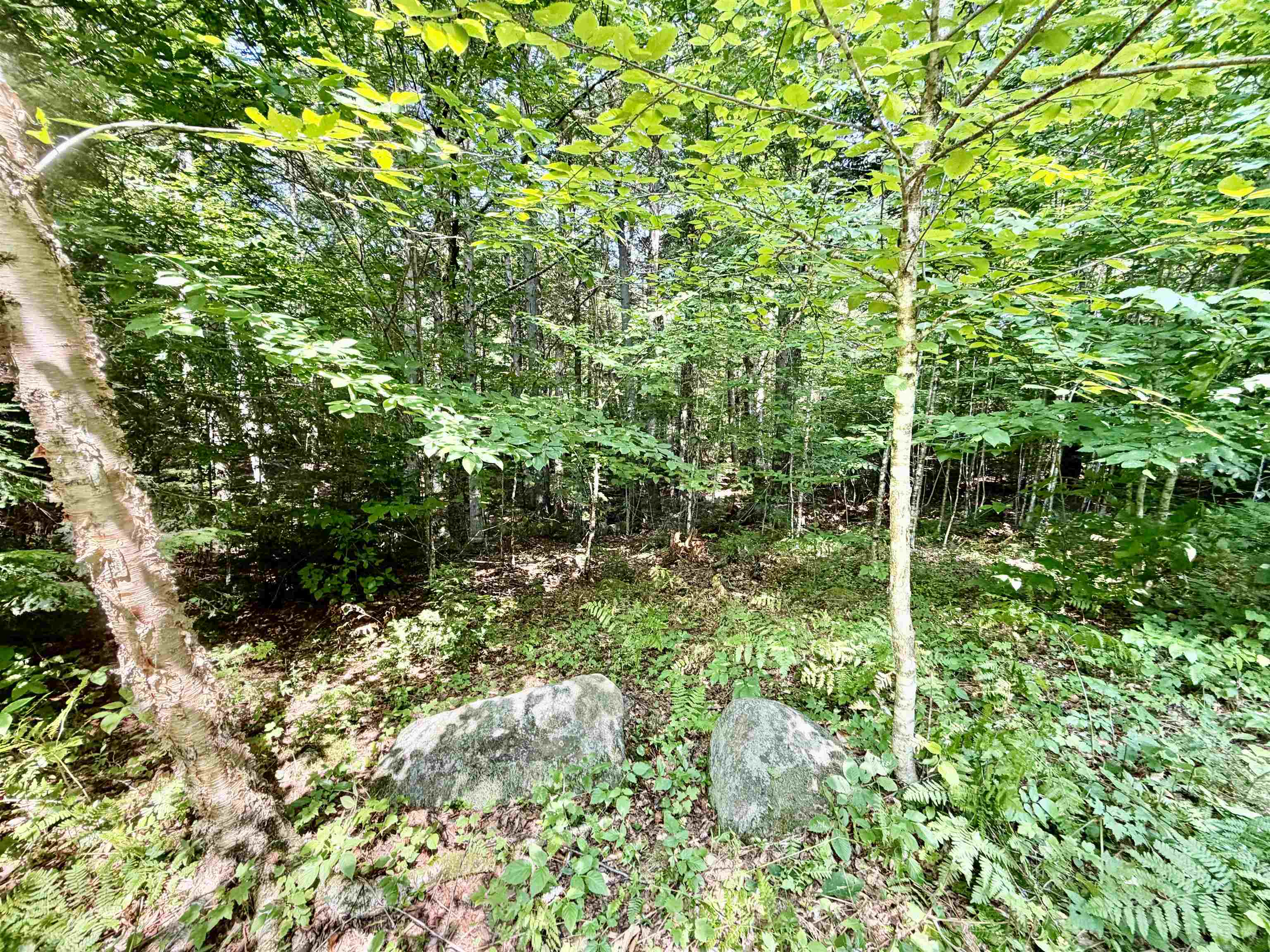 Lee Brook Road