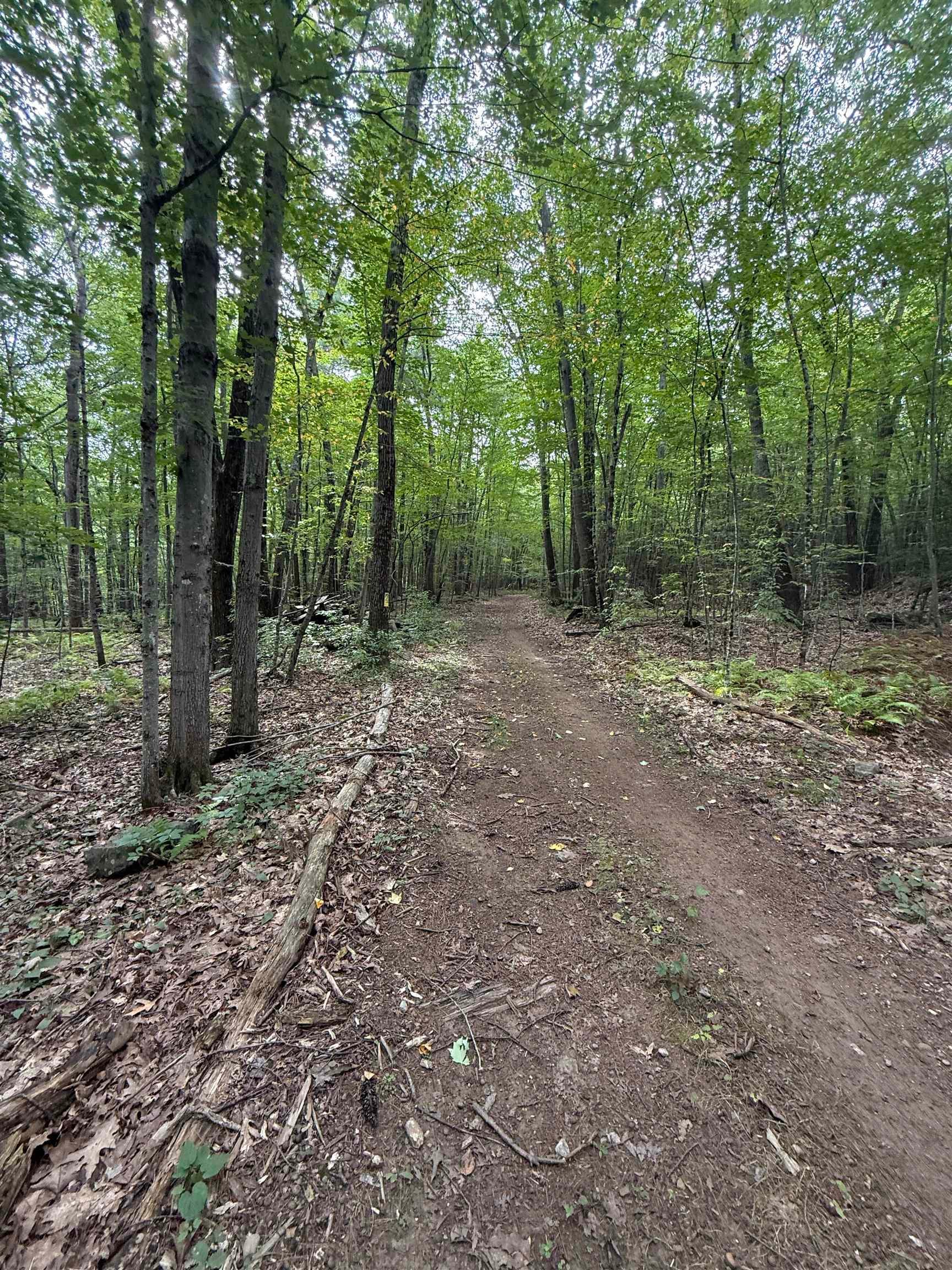 21 Chase Road Lot 2-1, Map 11, Block 10