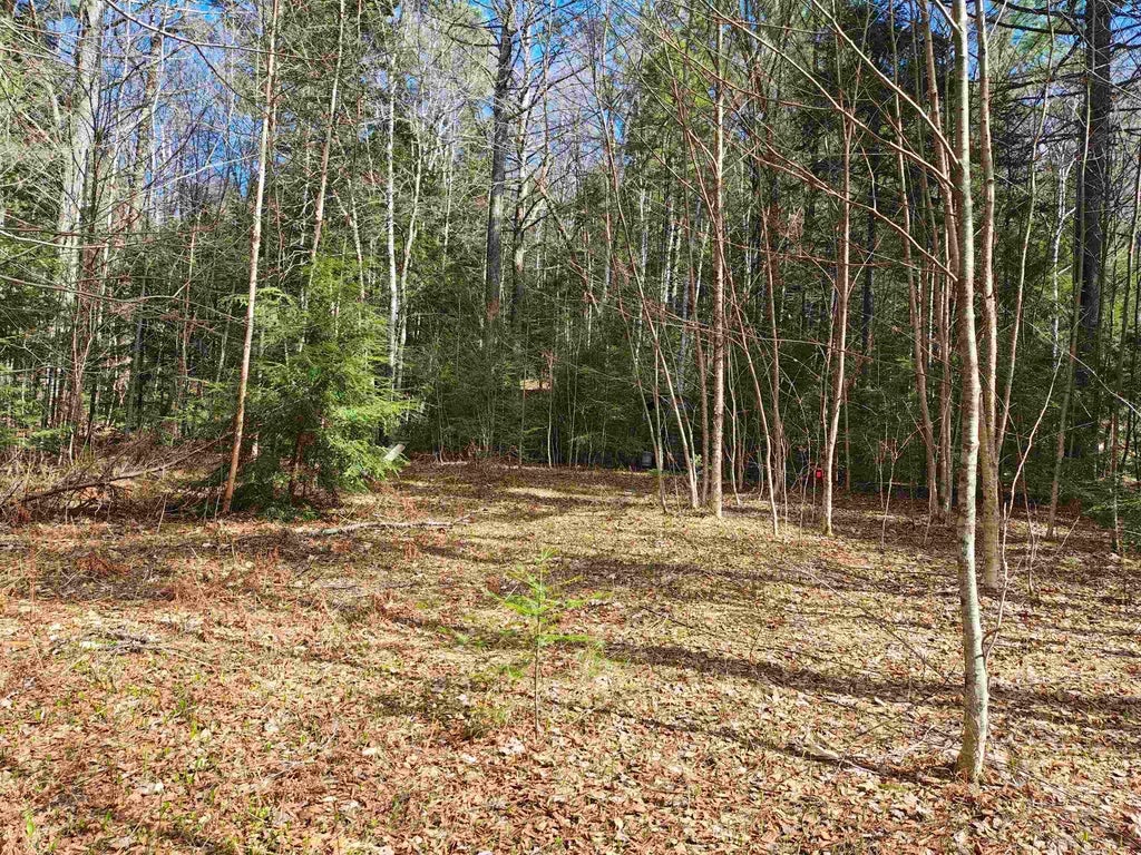 Photo of 184 Brock Hill Road, Orange, NH 03741 (MLS # 5086772)