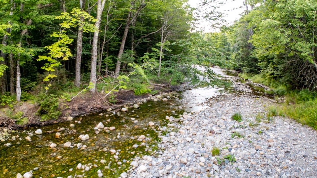 Photo of 760 Lost River Road, Easton, NH 03580 (MLS # 5102251)