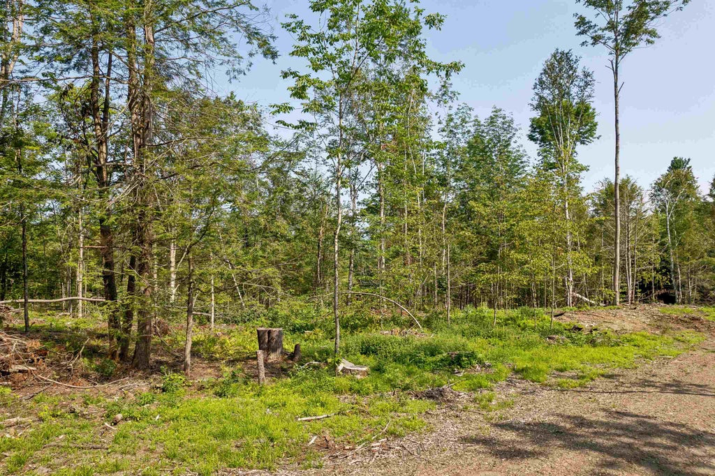 Photo of 00 Court Street #1-4, Haverhill, NH 03765 (MLS # 5087970)