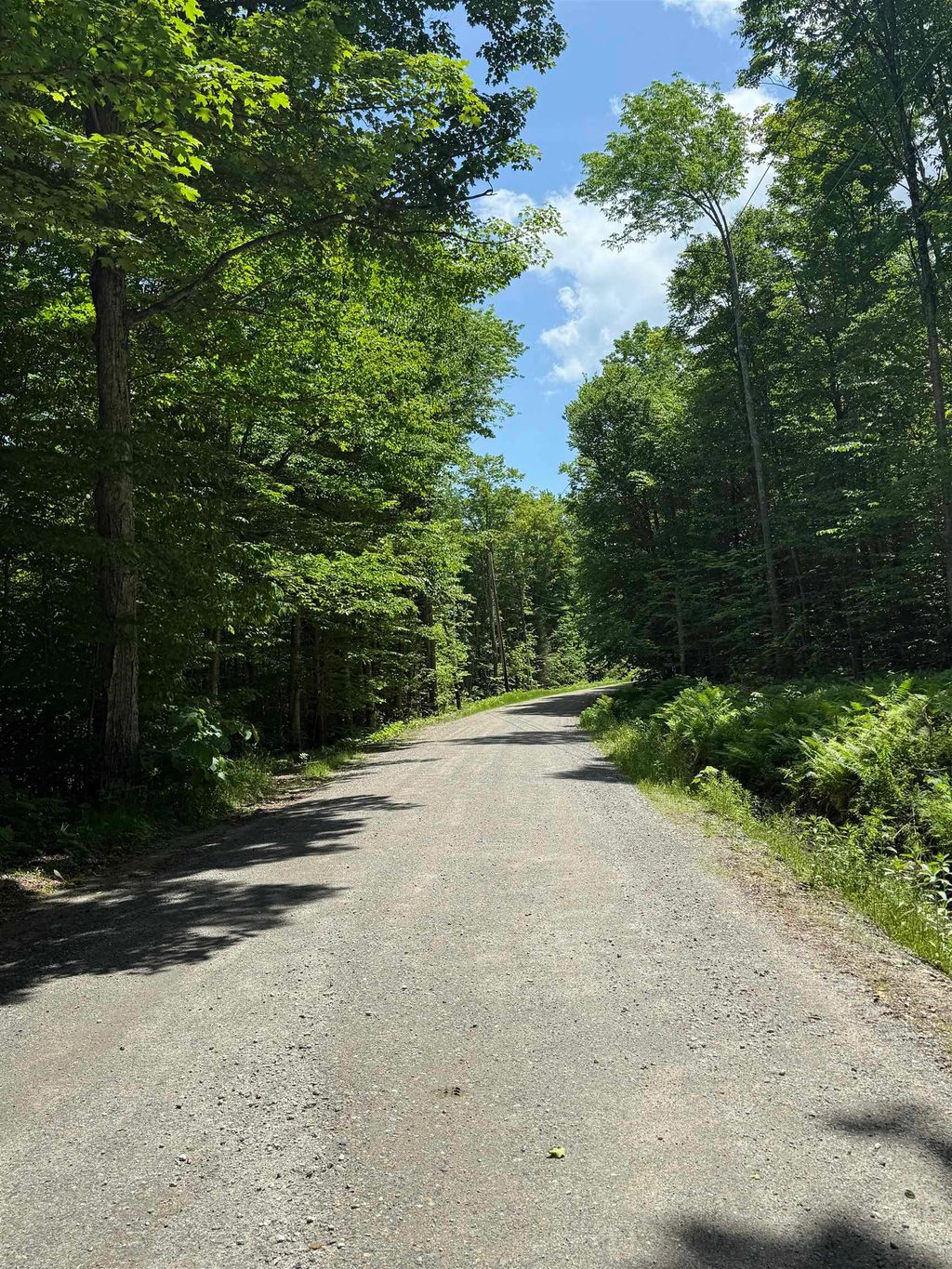 Photo of 1 Tunnel Stream Road, Benton, NH 03785 (MLS # 5057213)