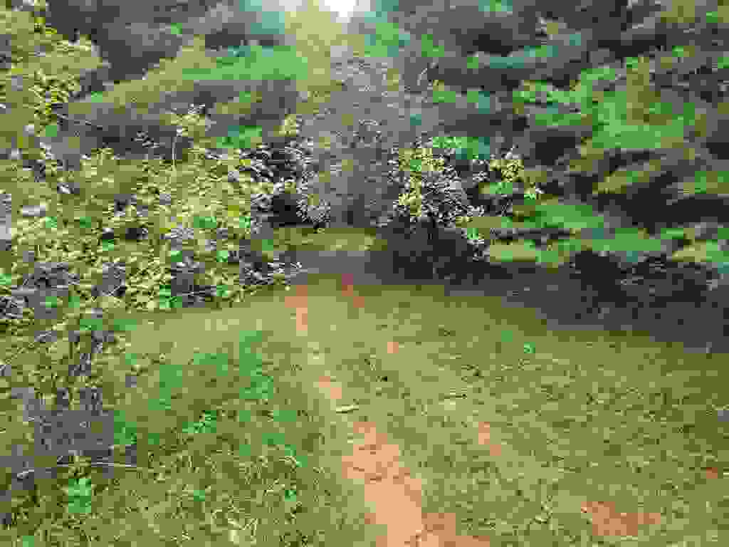 Photo of 0 Prospect Hill Road, Fitzwilliam, NH 03447 (MLS # 5102084)