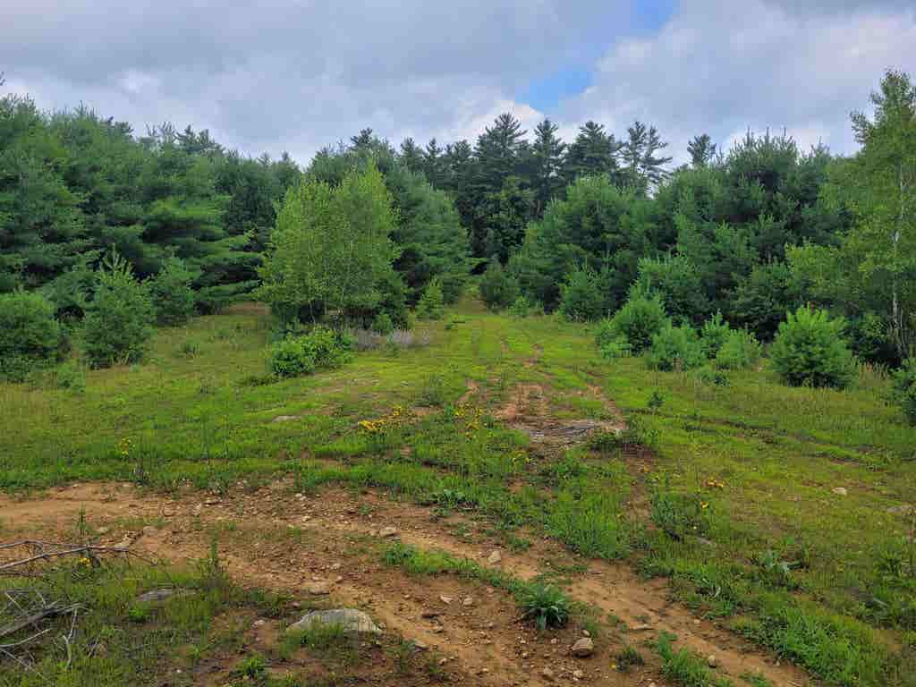 Photo of 0 Prospect Hill Road, Fitzwilliam, NH 03447 (MLS # 5102084)