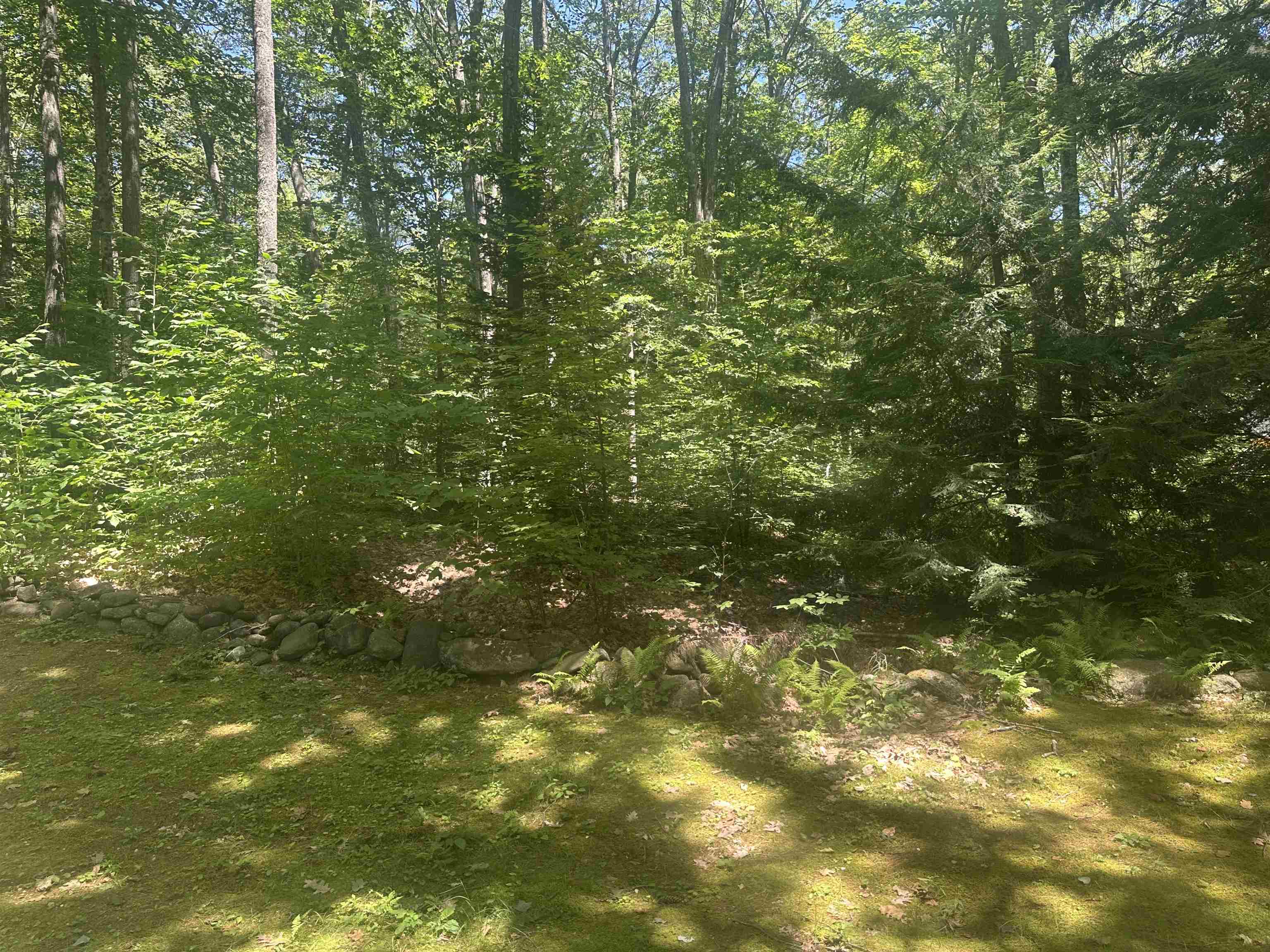 Lot 22 Rand Pond Road 2